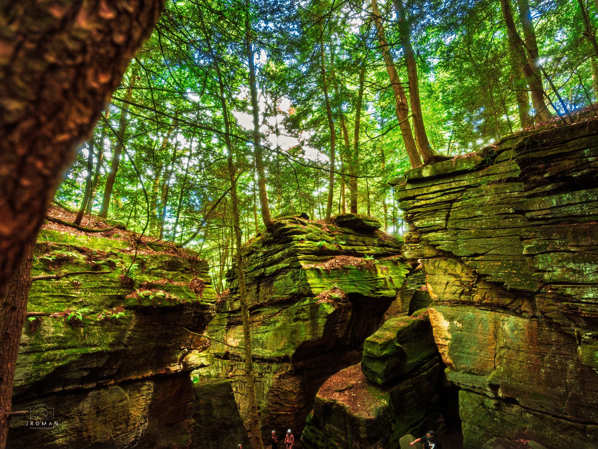 View of sunlight filtering through green trees in a forest, highlighting large moss-covered rocks and a rocky landscape.