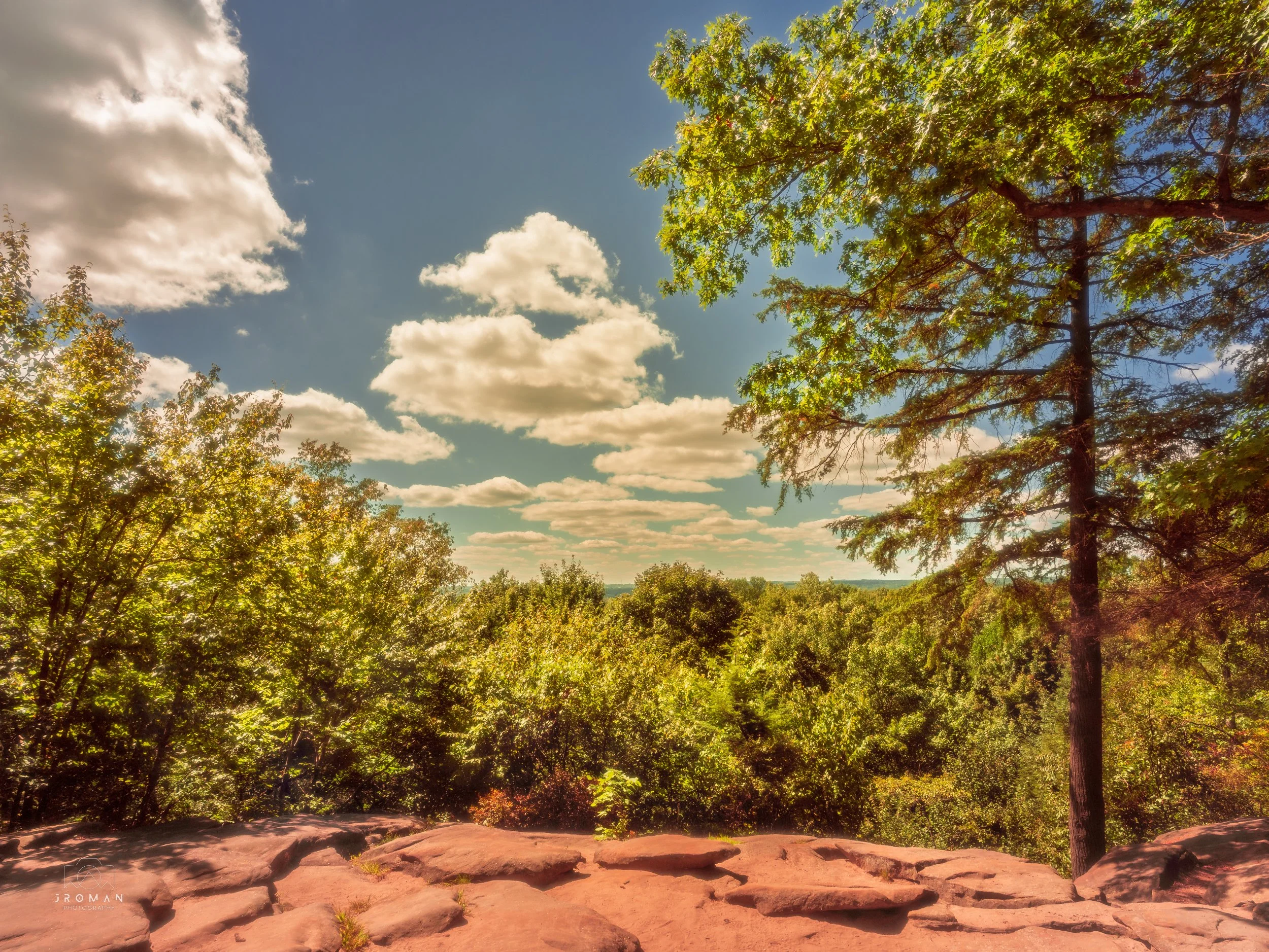 Sunlit forest view with a large tree on the right, rocky foreground, and a blue sky with scattered clouds.