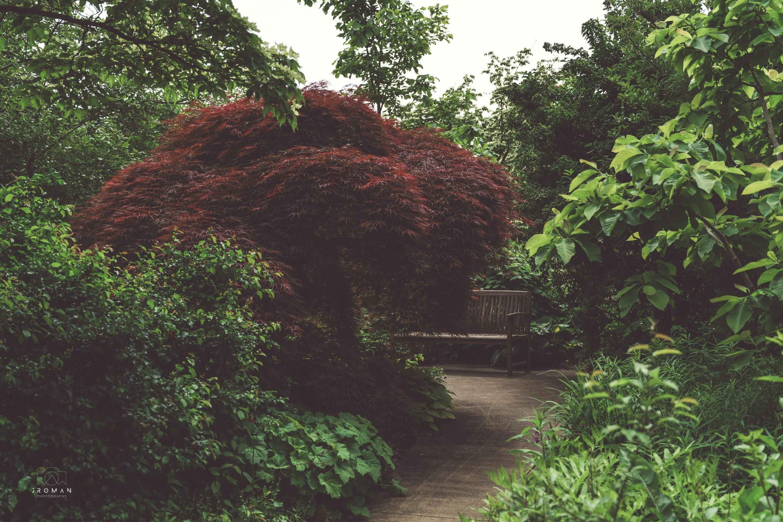 A garden pathway surrounded by lush green trees and plants, with a bench partially visible in the background.
