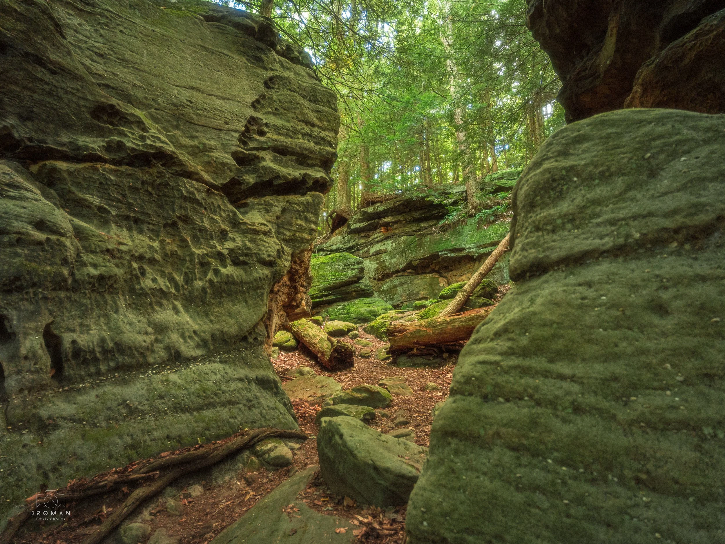 A narrow, rocky forest trail surrounded by large moss-covered sandstone rocks and trees with green foliage overhead.