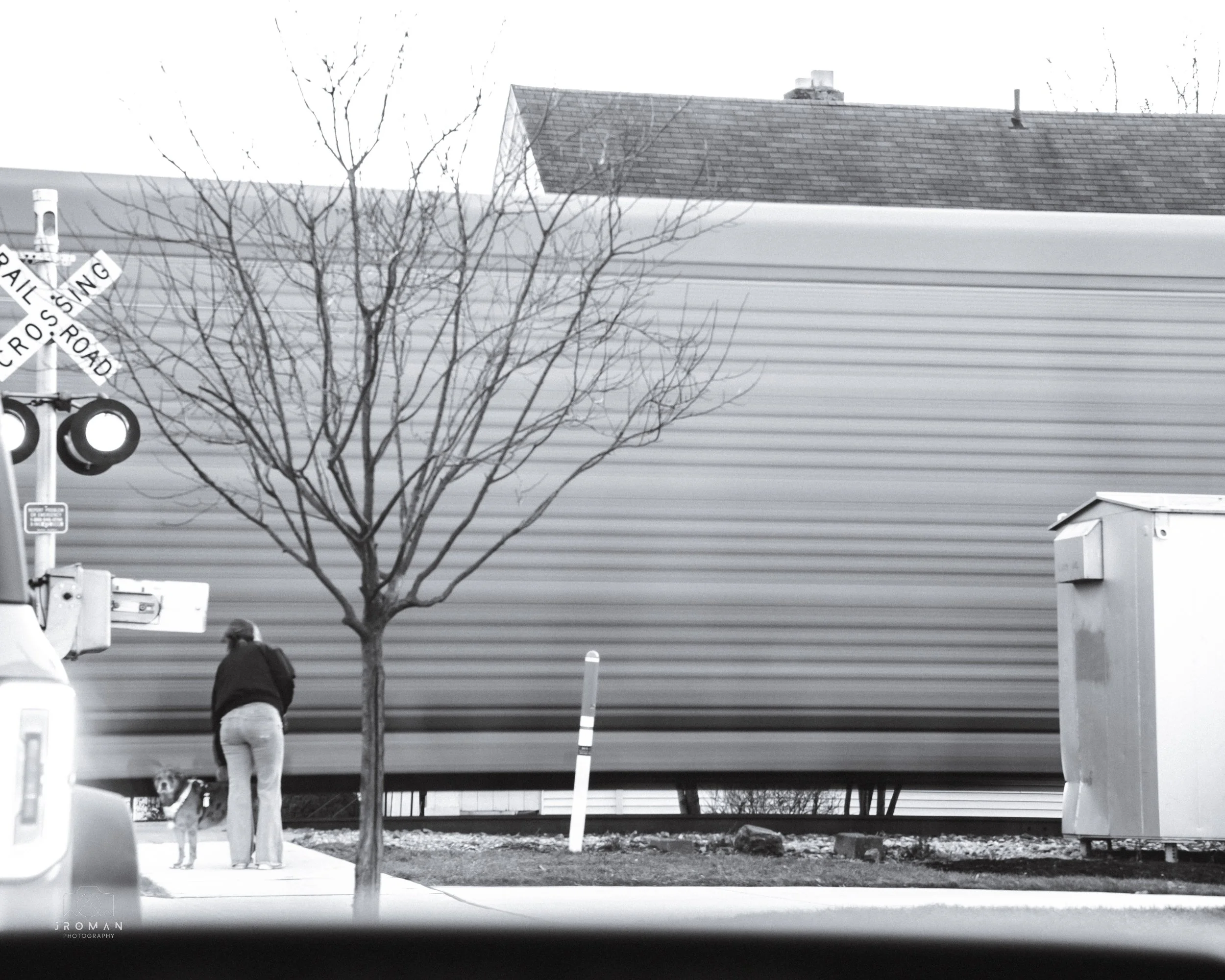 A person with a dog waiting at a railroad crossing in front of a large building with siding and a tree with no leaves.