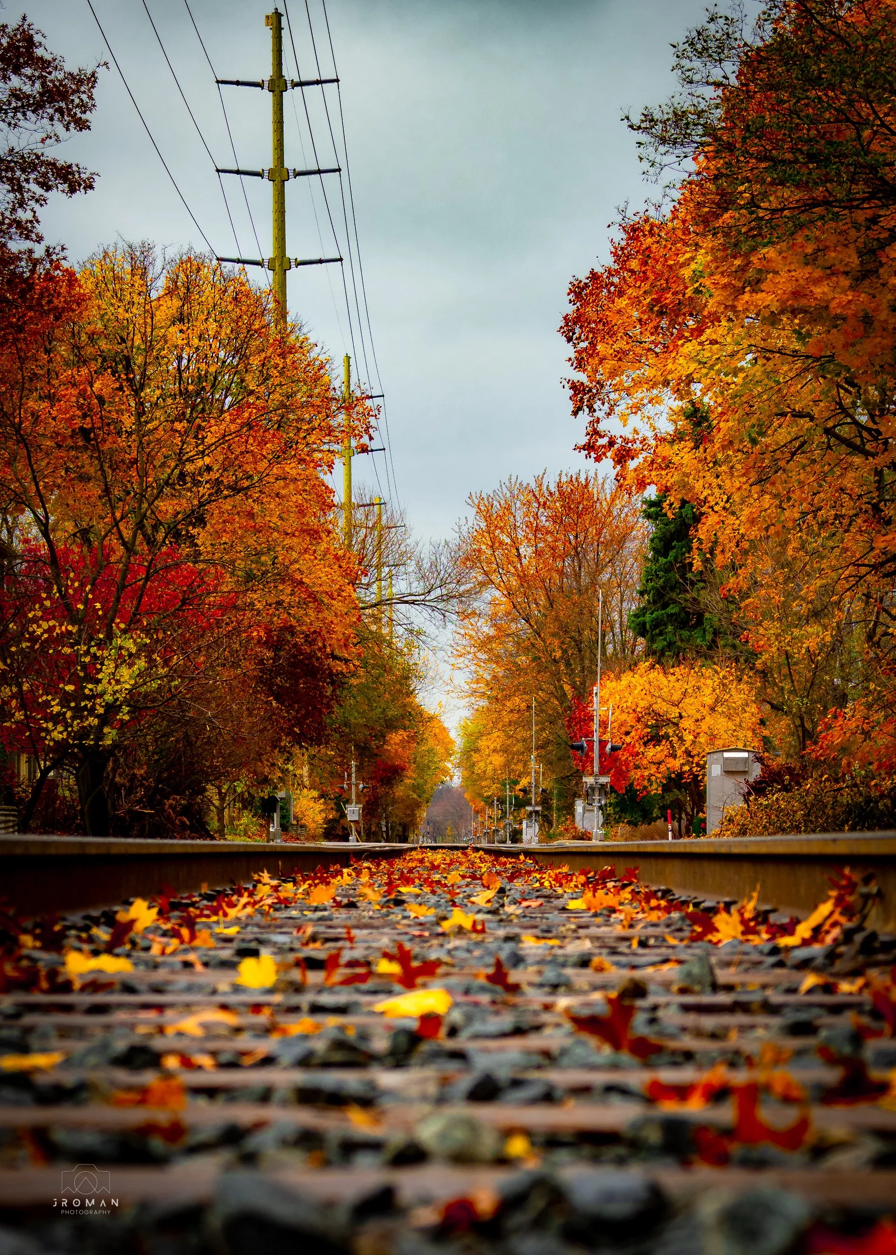 Autumn scene of railroad tracks covered with fallen leaves, surrounded by colorful fall trees with orange, red, and yellow foliage, and a cloudy sky overhead.