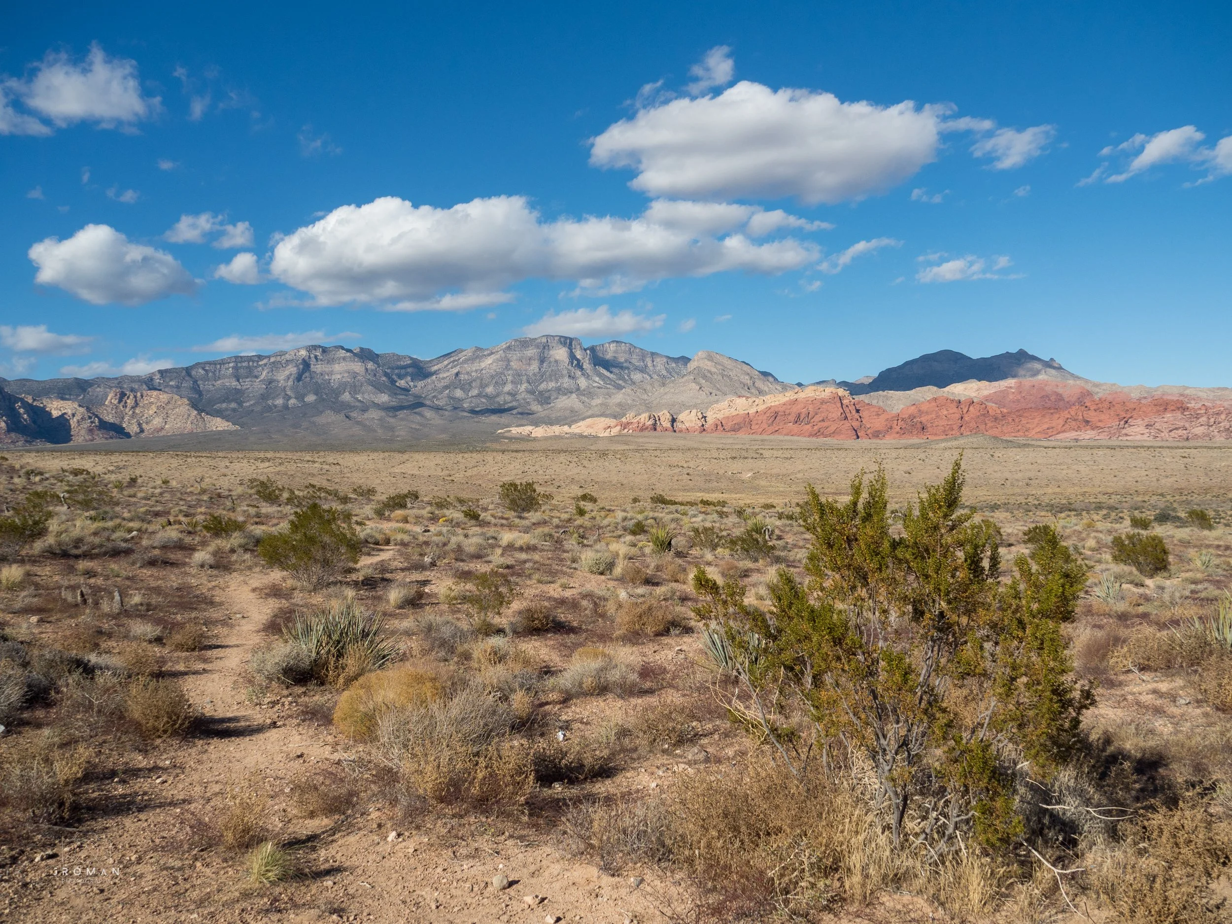A desert landscape with sparse vegetation, mountain range in the distance, and a blue sky with scattered clouds.