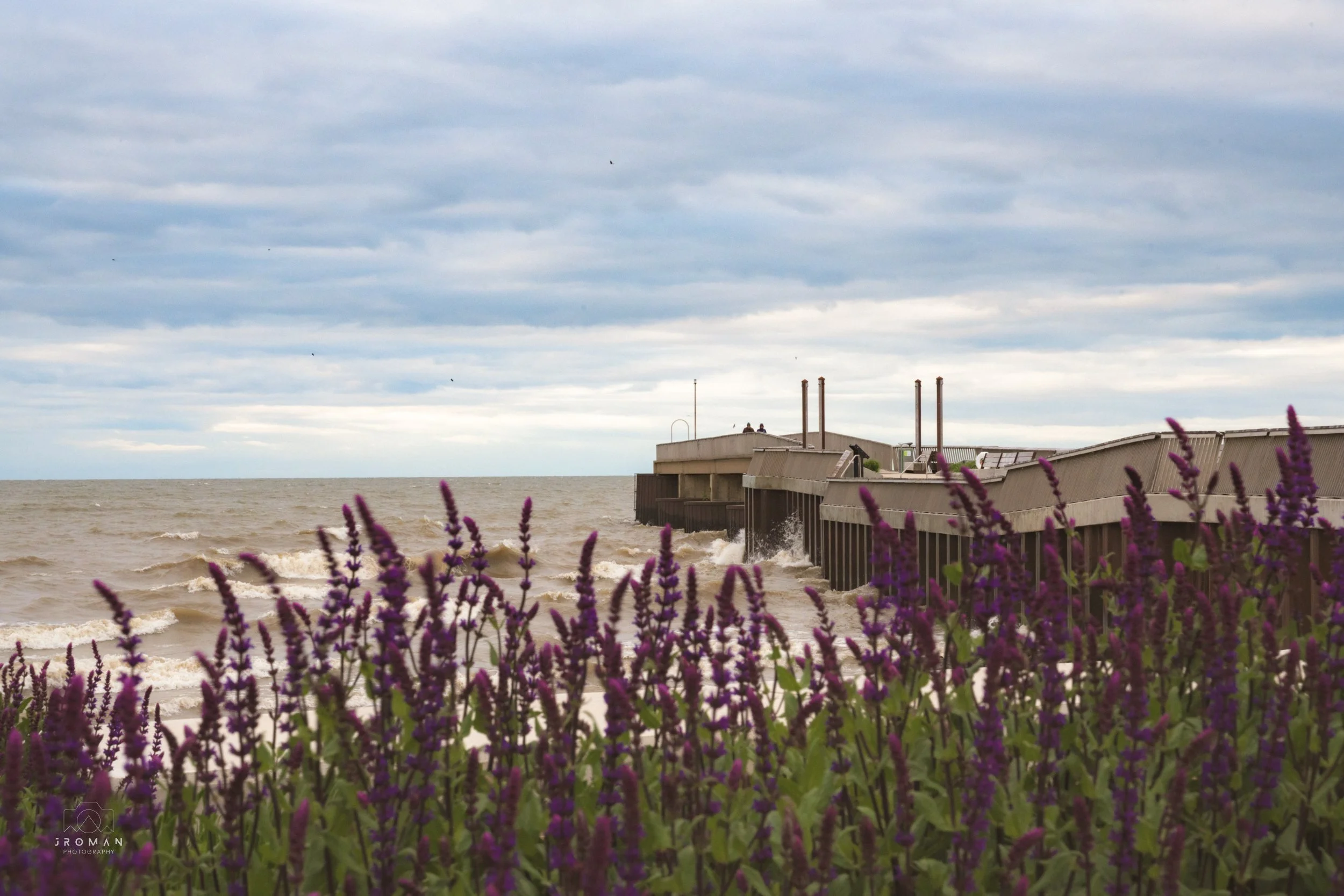 A wooden pier extending into a choppy sea with purple flowers in the foreground and a cloudy sky overhead.