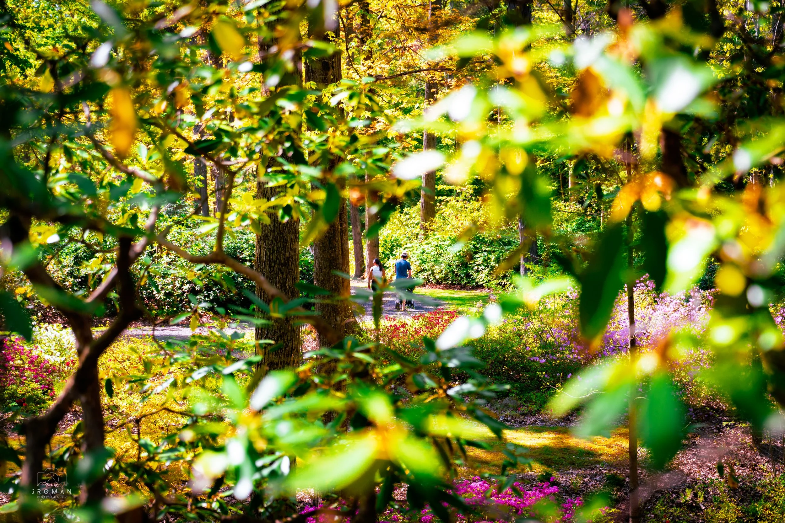 A forest scene with a couple walking along a trail, surrounded by trees, green foliage, and colorful flowers.