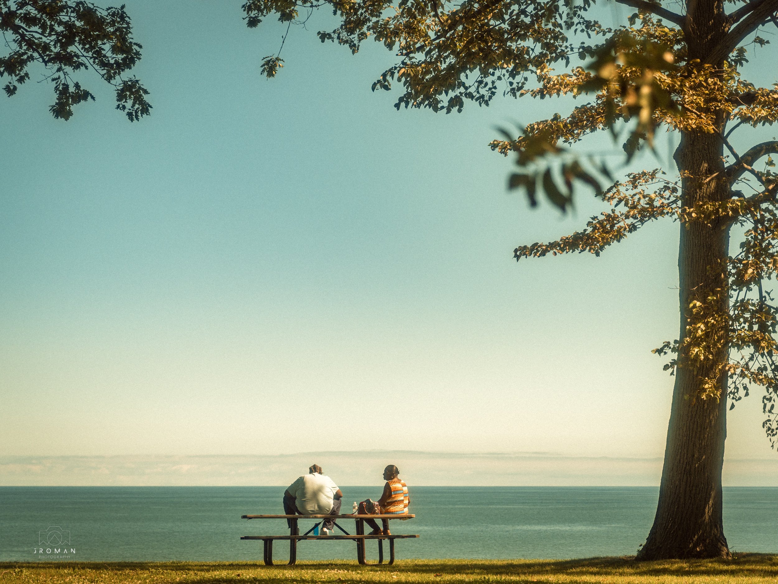 Two people sitting on a bench near the water under a large tree, with a clear sky and calm water in the background.