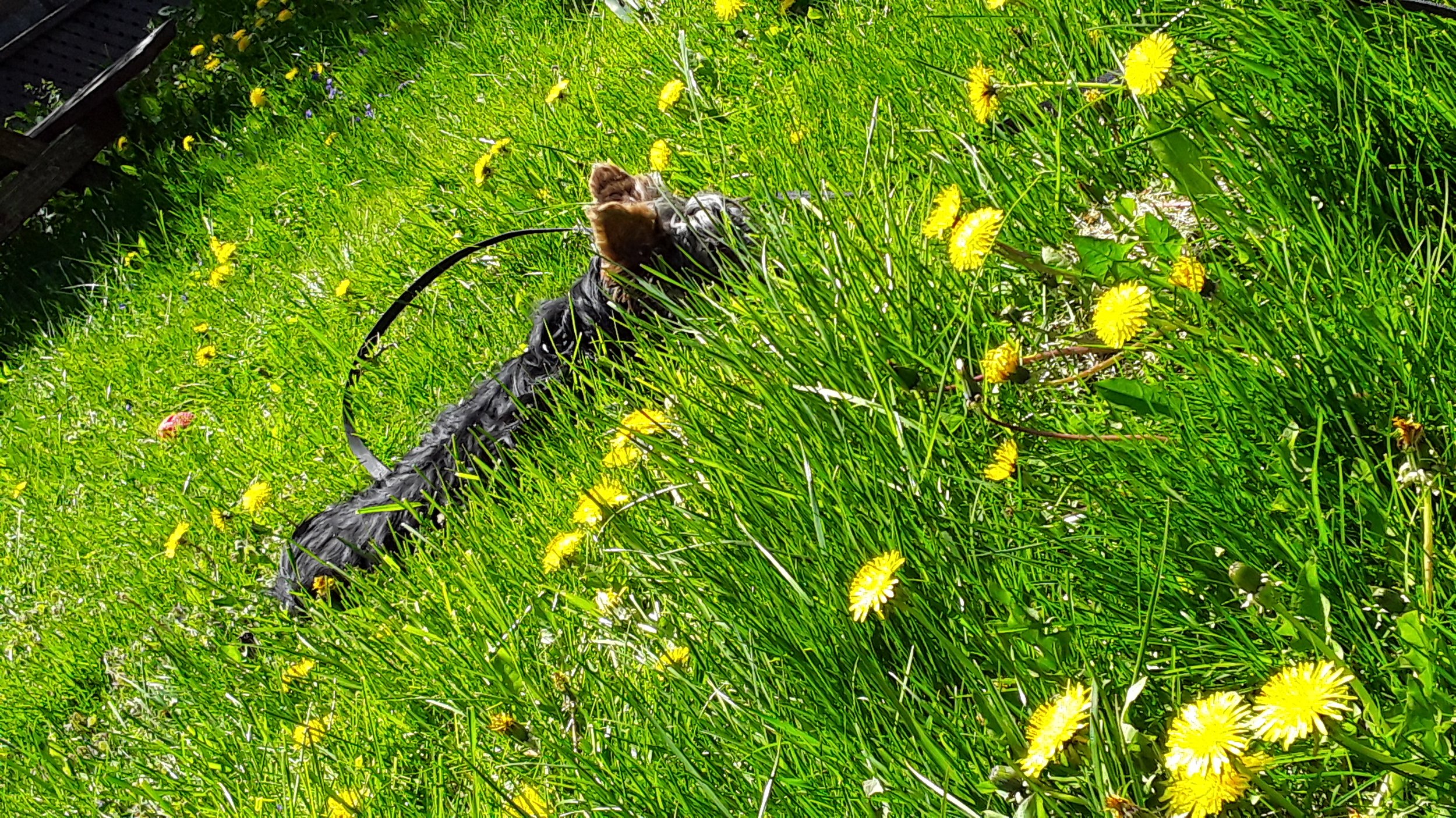 The Nature of Change