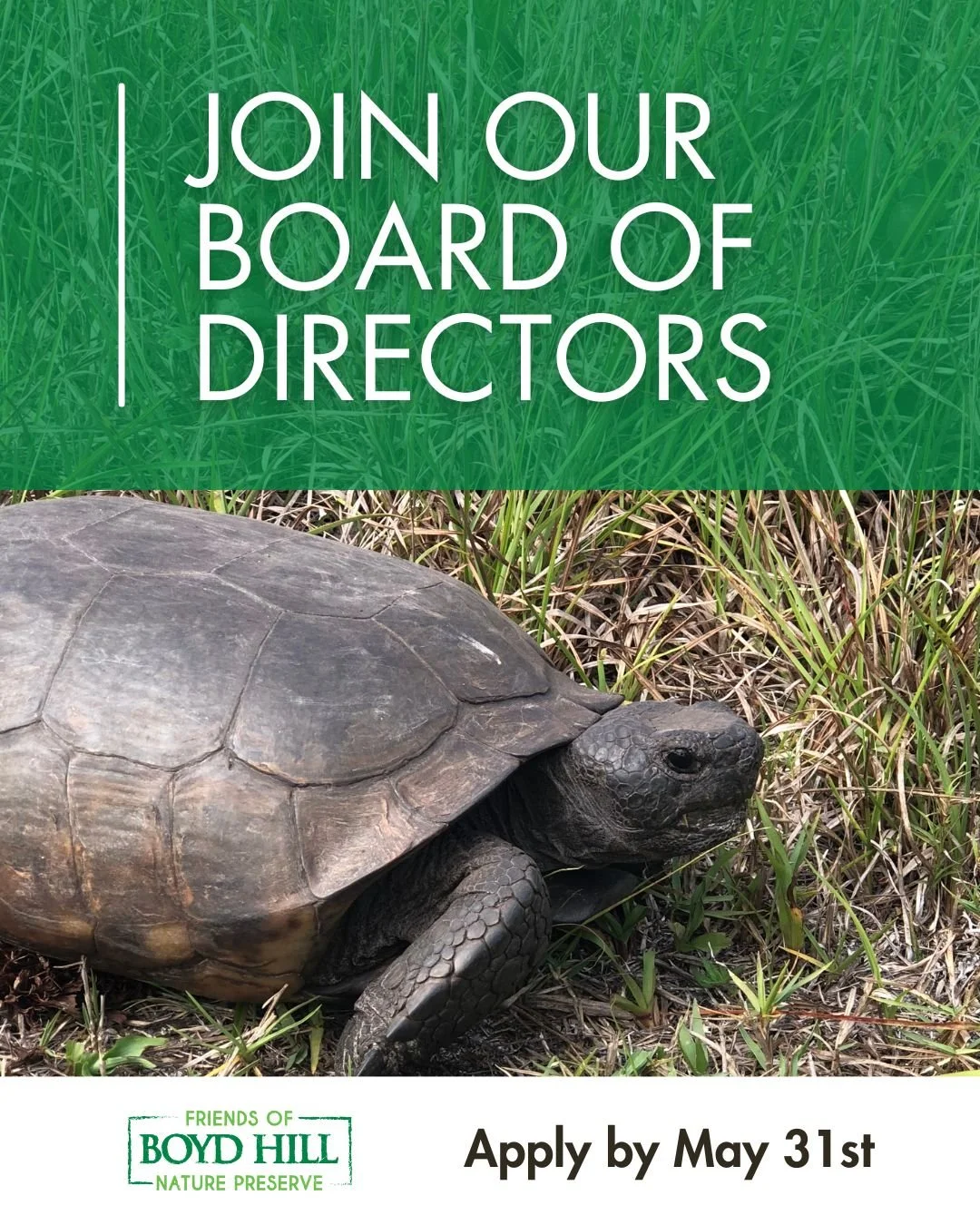 📣 Call for Applications! We are looking for 2-3 new members to join the Friends of Boyd Hill Board of Directors! Come help us support, promote and protect Boyd Hill and the unique species that find refuge in a Preserve nestled right in the heart of 