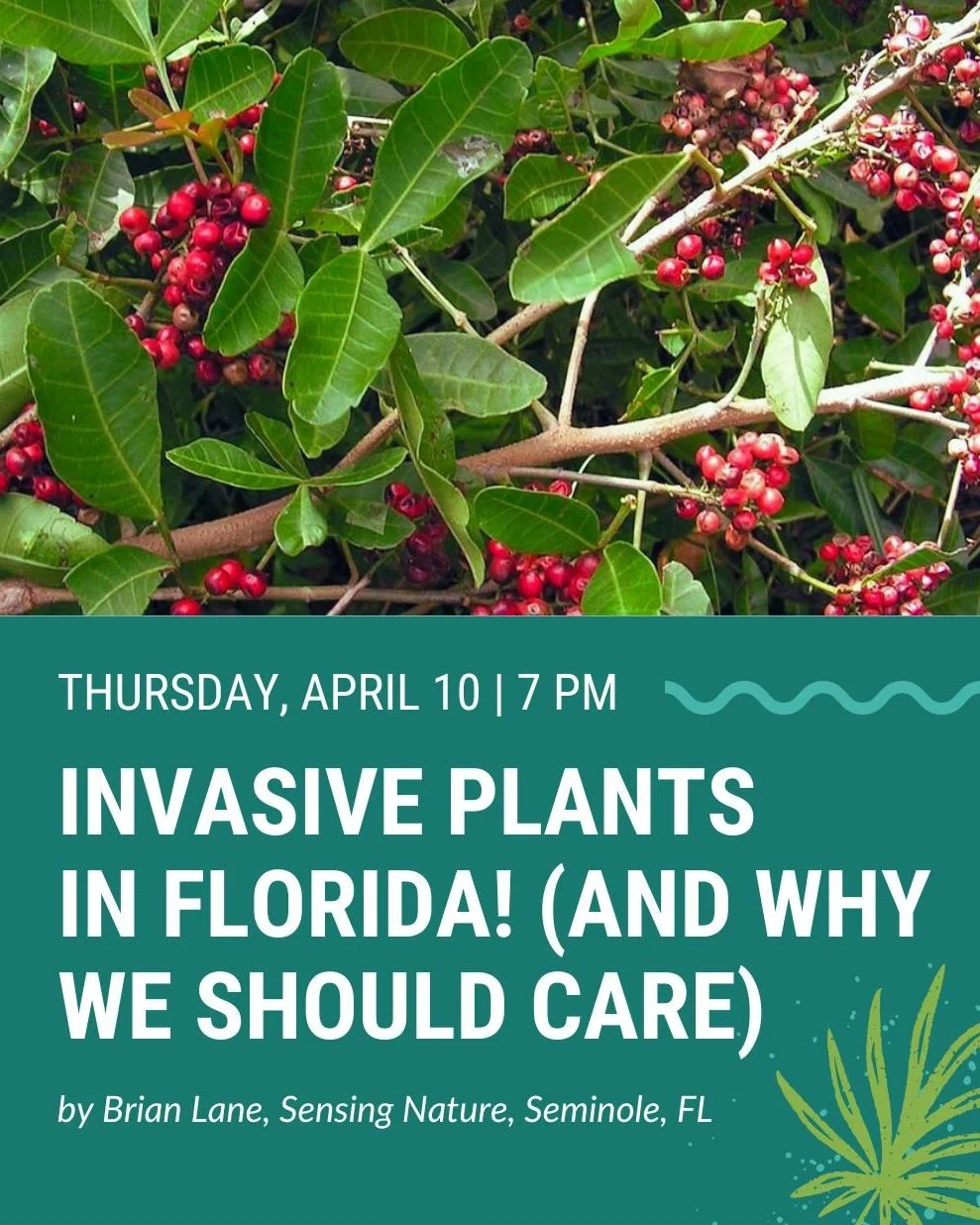 🌿 Florida&rsquo;s landscape is lush and green, but don&rsquo;t let that fool you. Join Sensing Nature ecologist Brian Lane as he reveals some of the bullying plants that have unfortunately taken root here in Florida. Through his eyes and experience,