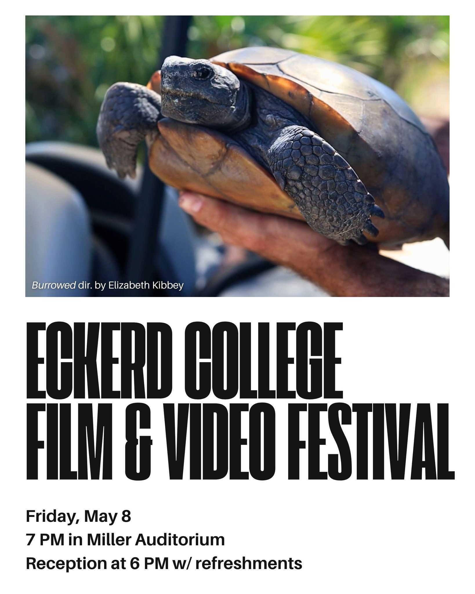 🐢🎬 Come out for the premiere of 'Burrowed' this Friday, May 8th at 7 PM at the Eckerd College&rsquo;s Film &amp; Video Festival! 

This film by @captured_by_kibbey follows Eckerd Professor Jeff Goessling PhD and his student researchers as they stud