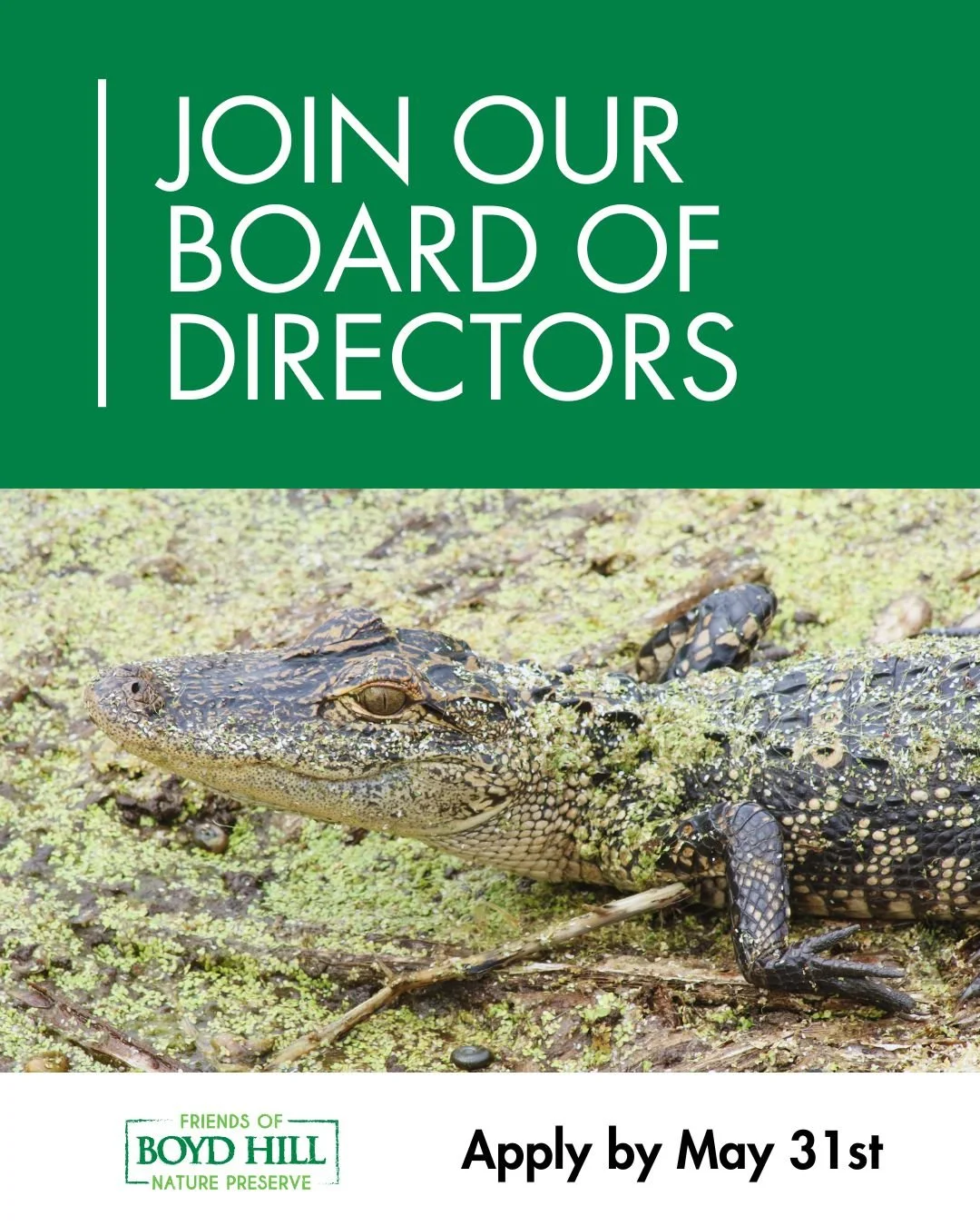 📣 Call for Applications! We are looking for new members to join the Friends of Boyd Hill Board of Directors! Looking for various skills, but an accounting or finance background is preferred one of the positions. Come help us support, promote and pro