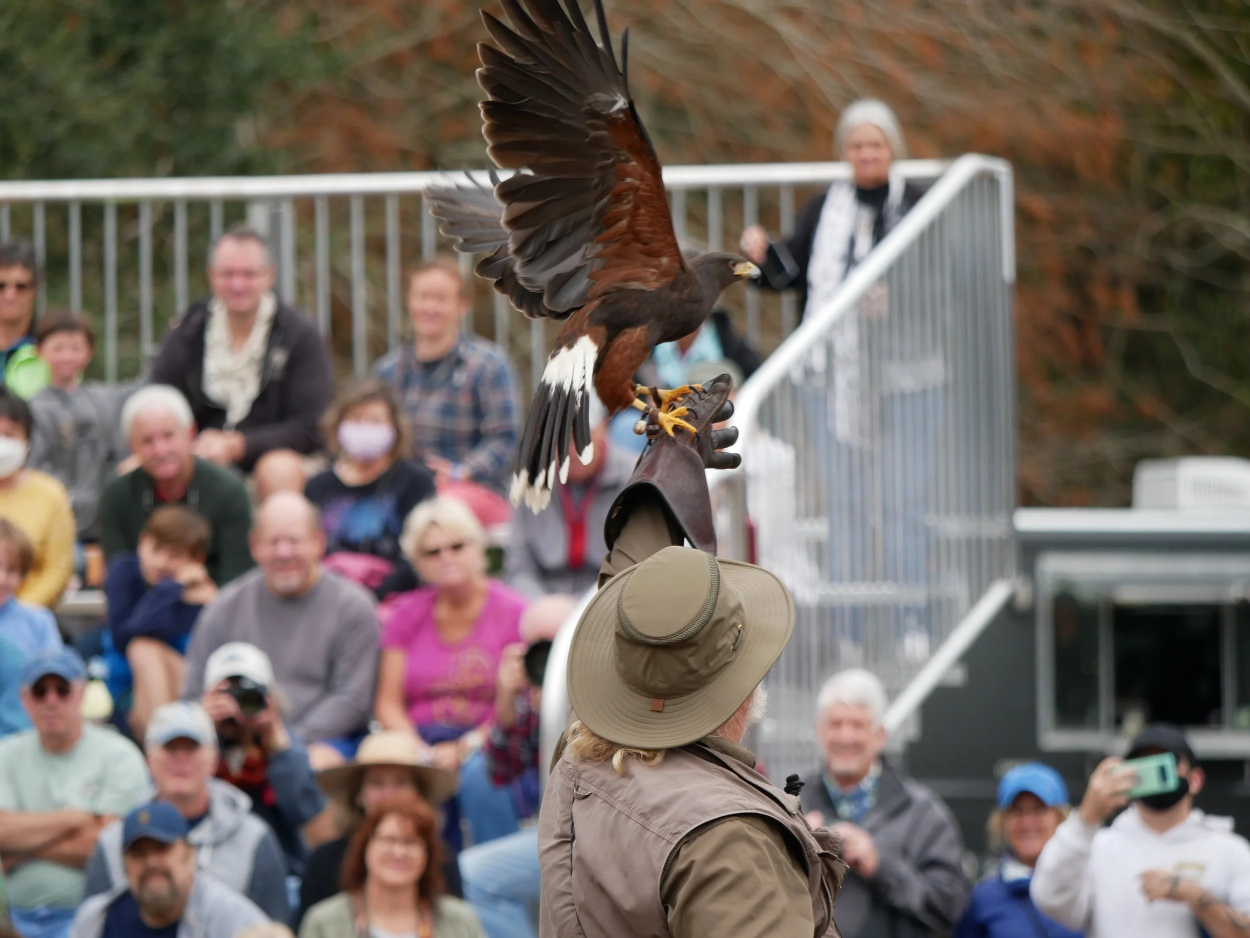 Raptor Fest 2027