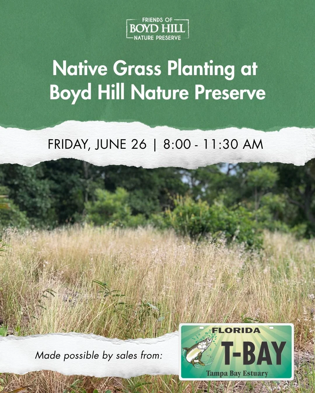 🌾 Let&rsquo;s restore wild St. Pete together! Join us as we plant native grasses in coastal upload habitat at Boyd Hill Nature Preserve. All seedlings have been grown by @thewisehands from seeds collected locally to help to preserve and protect loca
