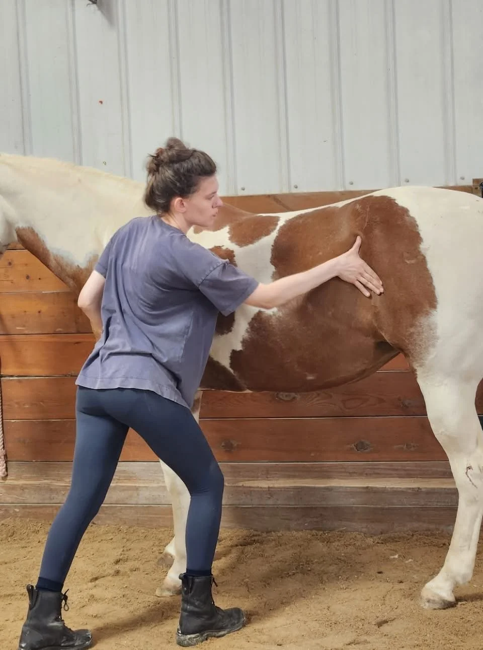 Molly massaging a chestnut and white Paint horse