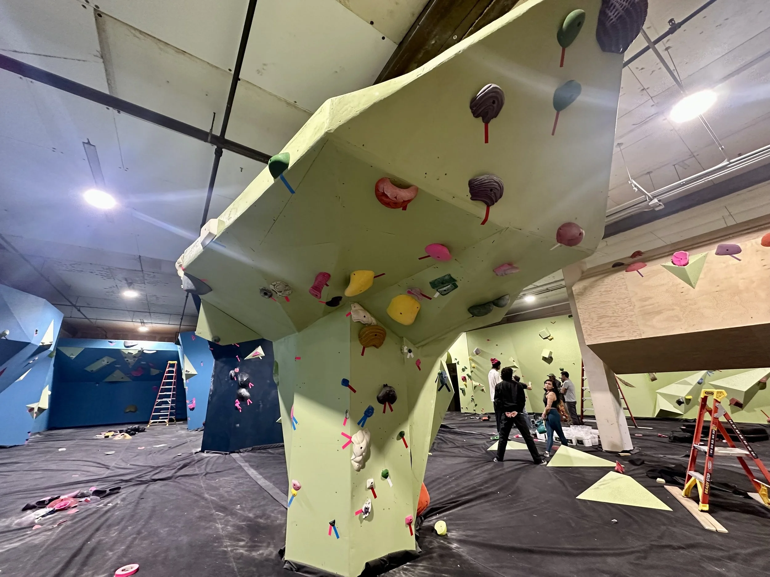 climbing wall mushroom