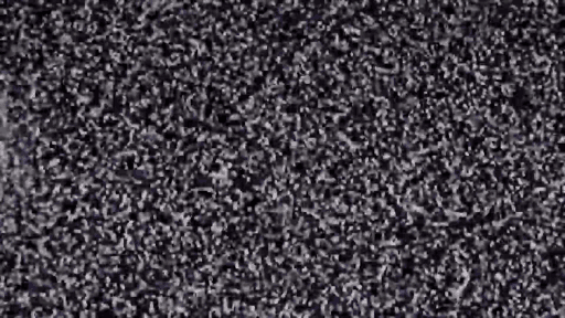 Weather beaten bones (2017)