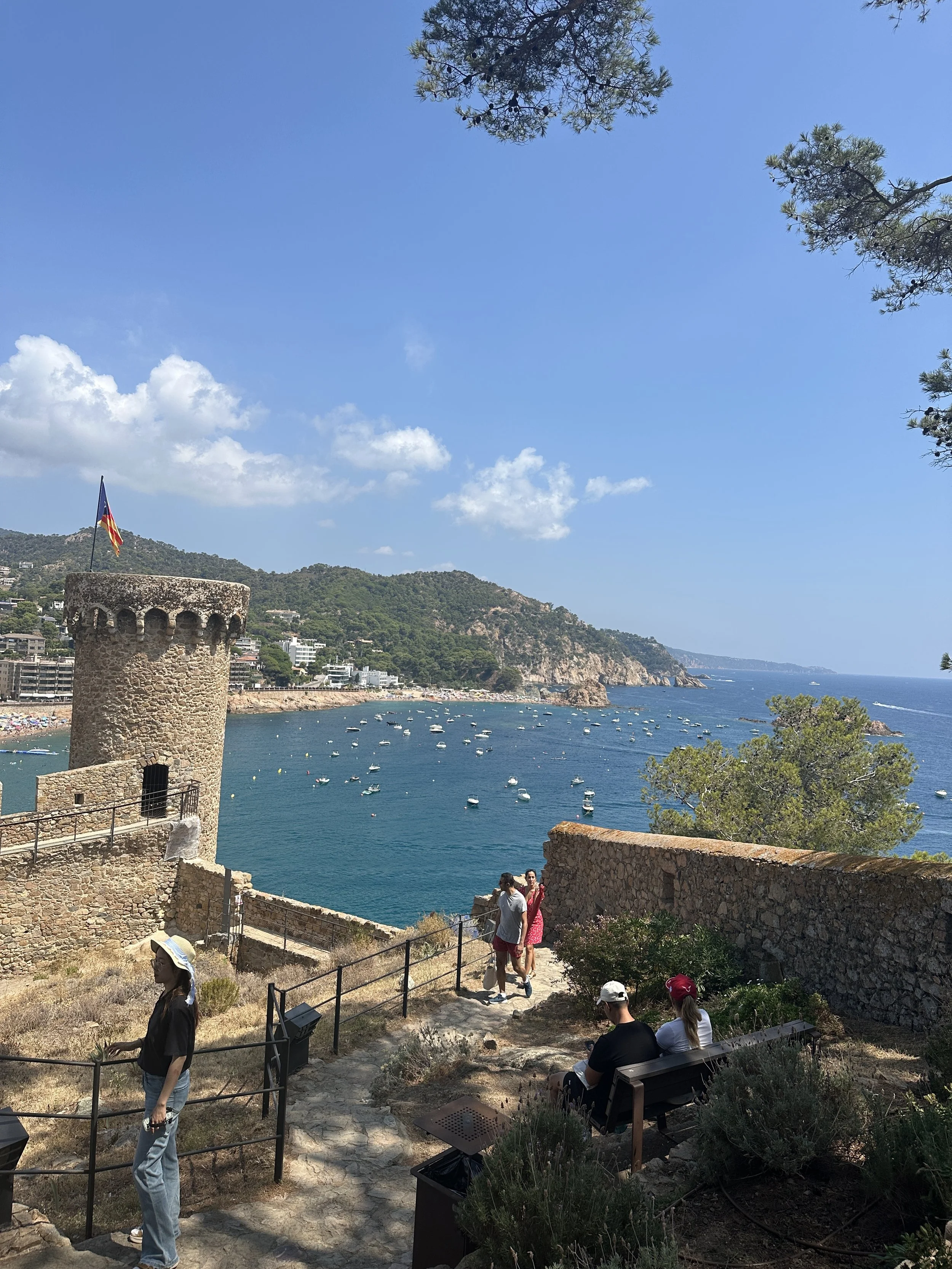 IMG_6737.jpeg
