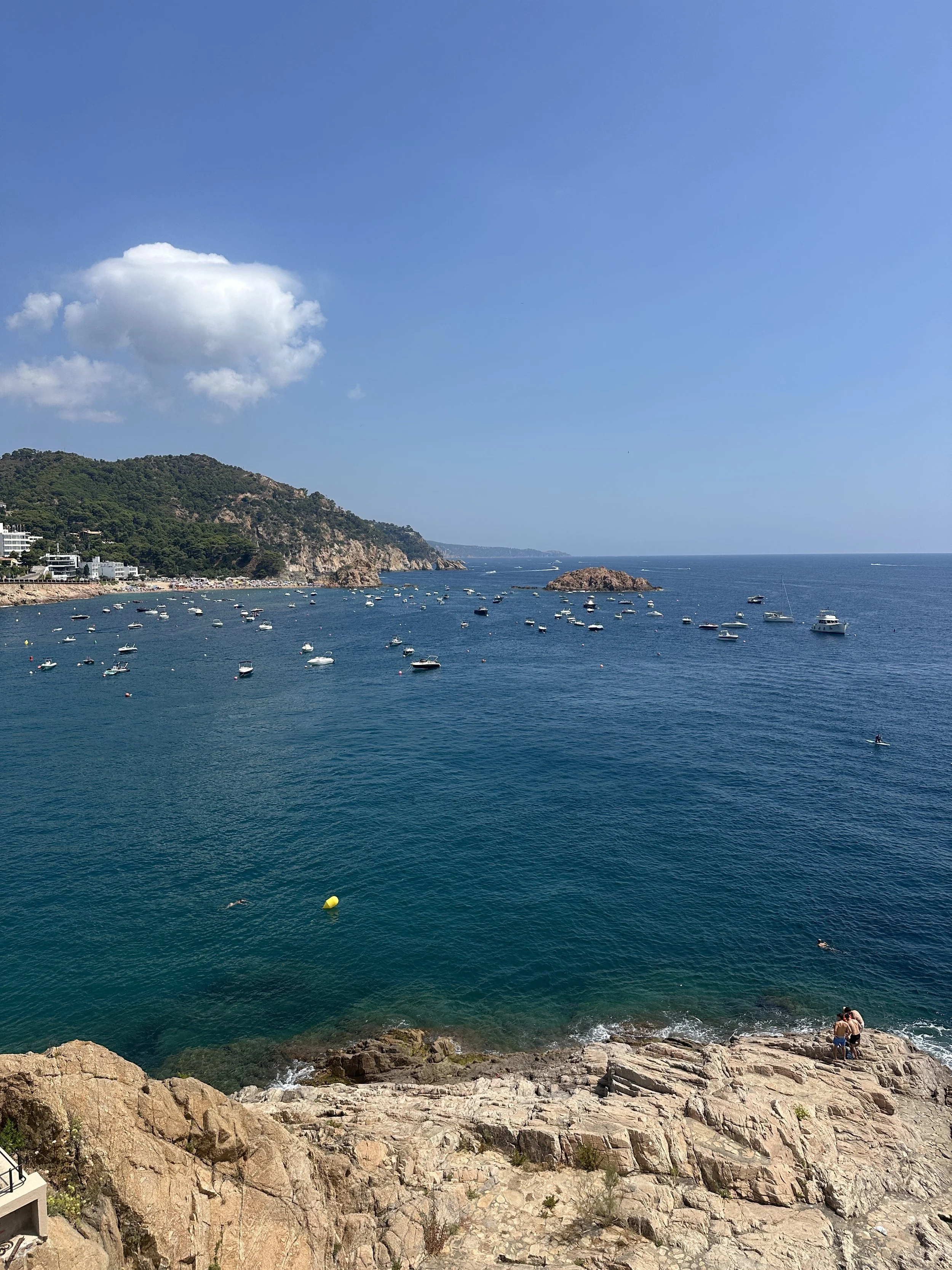 IMG_6743.jpeg