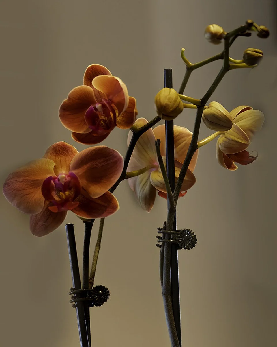 Orchid Kitchen jpeg.jpeg