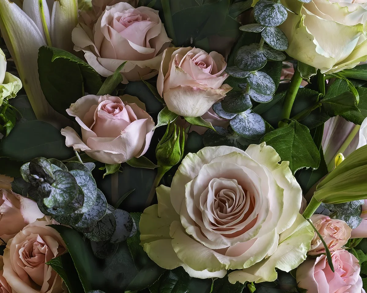 Roses rendered Jpeg 2 .jpg