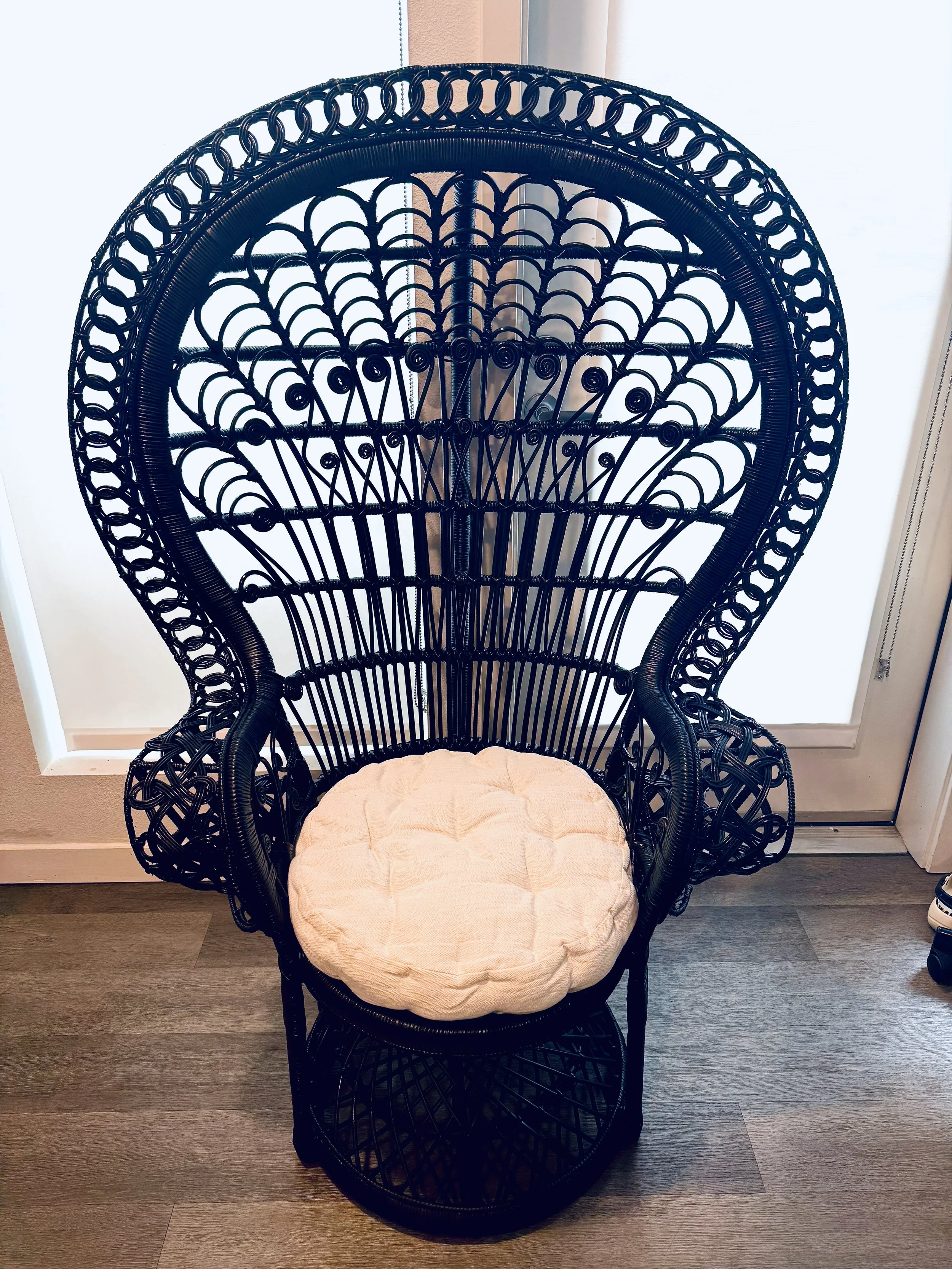 Black Peacock Chair 2025 (1).jpg
