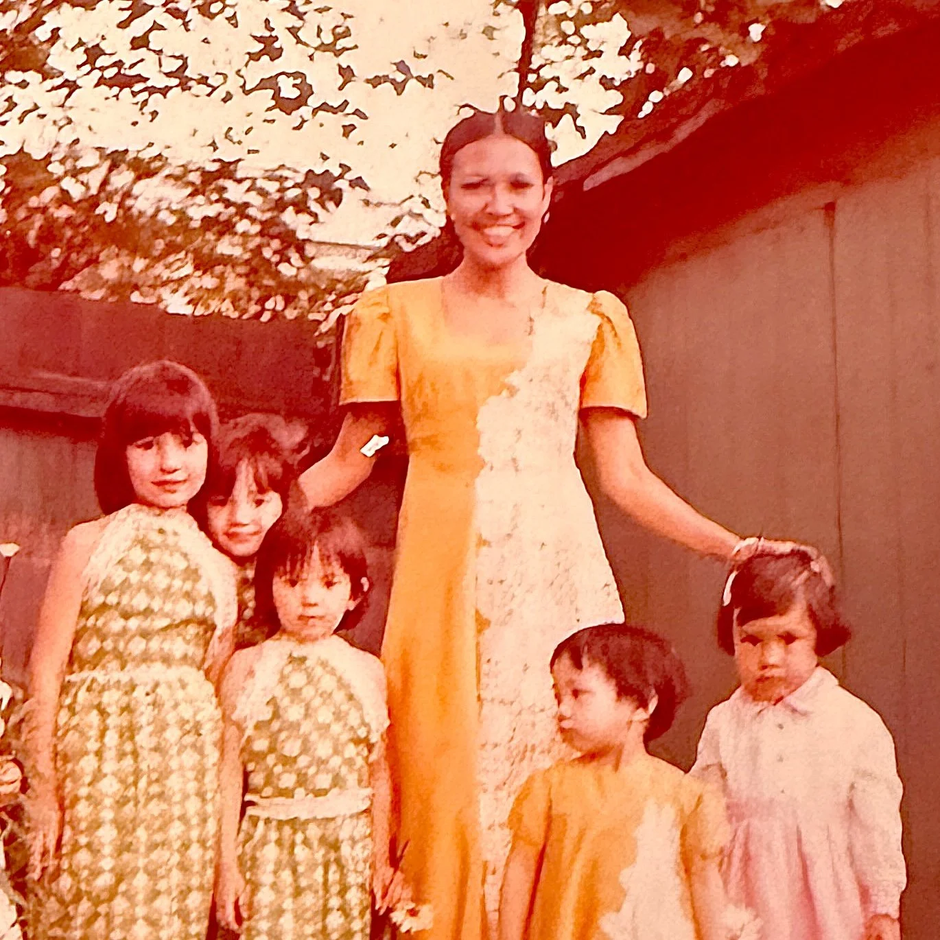 Fe Higgins Toronto 1973 Terno Dress.jpg