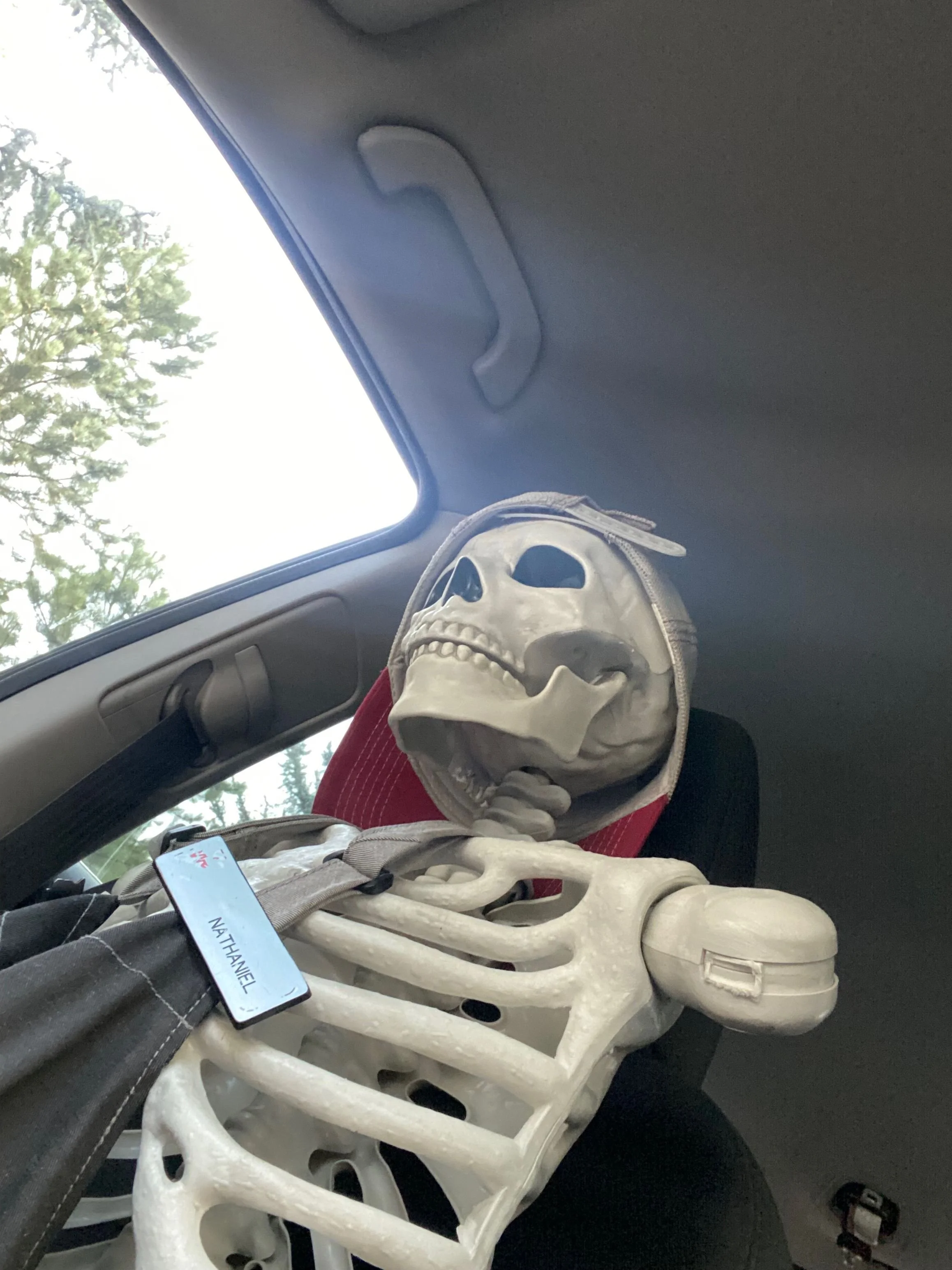 Mr. Bones and the Housing Crisis