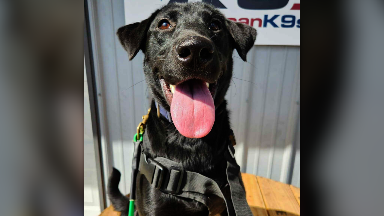 Who Let the Past Out?