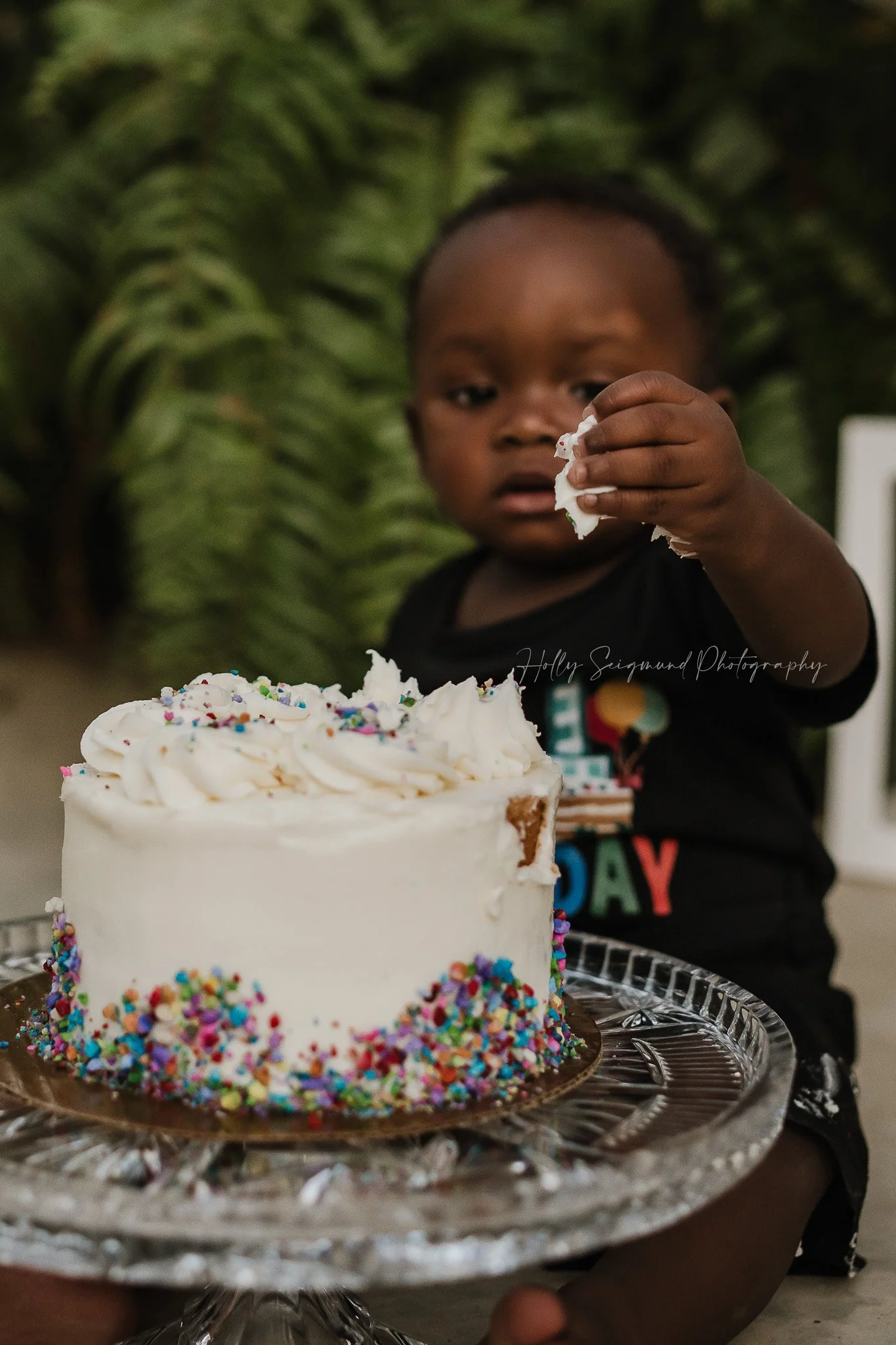 Boy's first birthday smash cake session detail shot in Lee County Texas