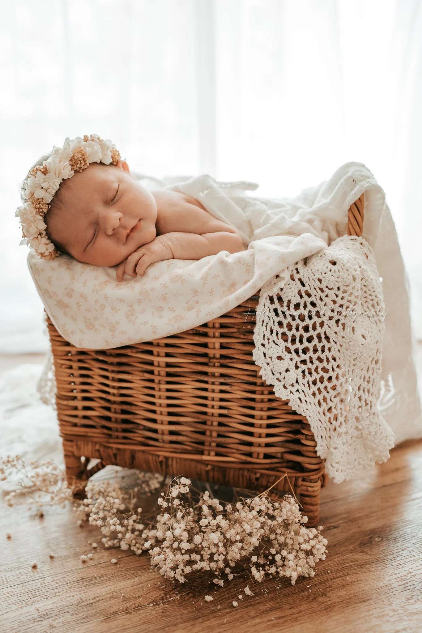 Baby-girl-in-basket-central-texas-photographer.jpg