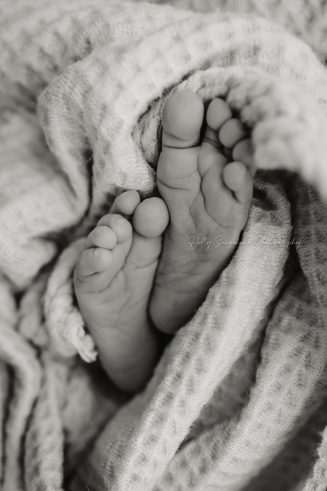 Newborn-photo-studio-78947.jpg
