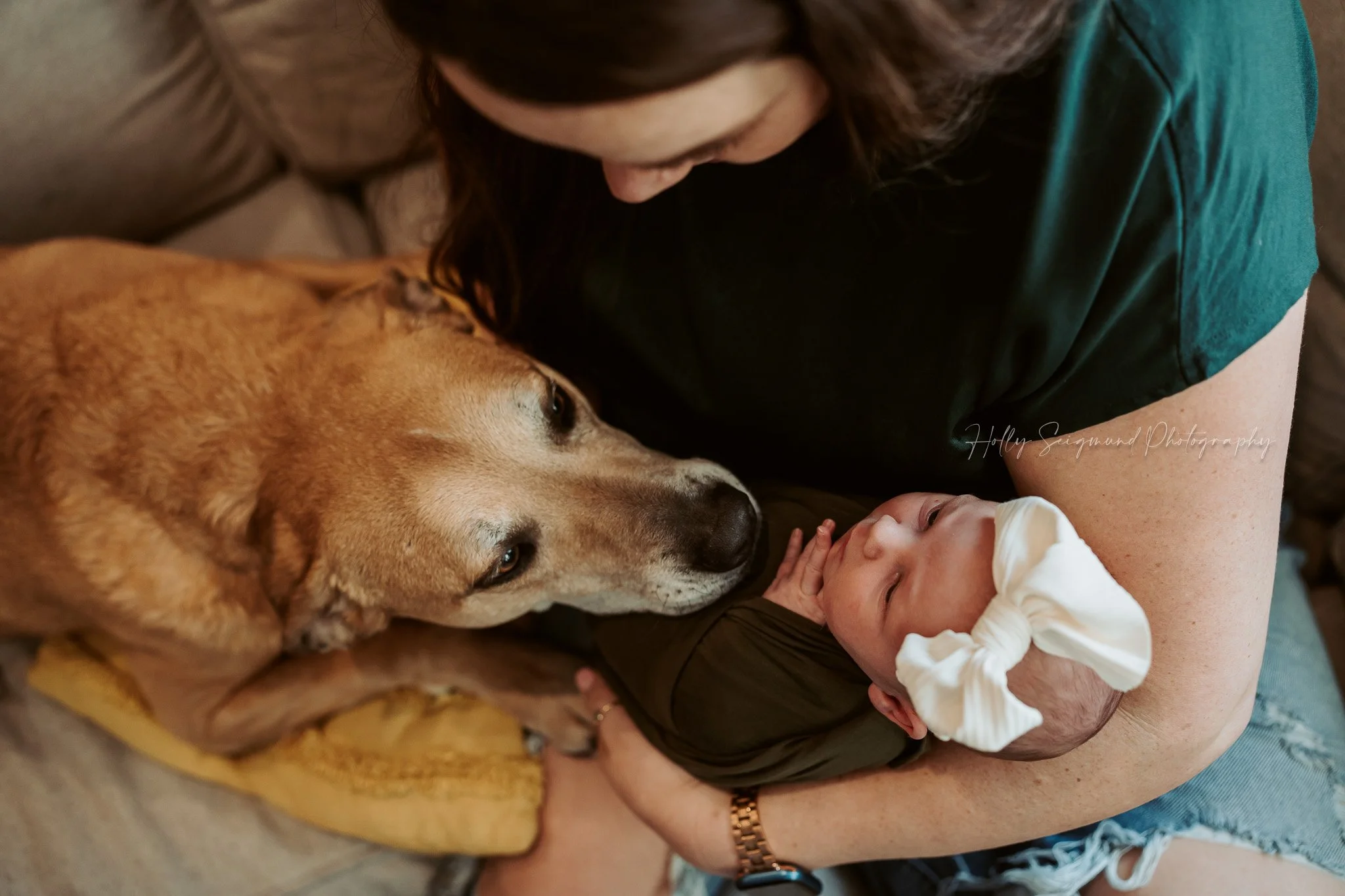 Family dog looking a newborn baby during an in-home newborn session in Central Texas