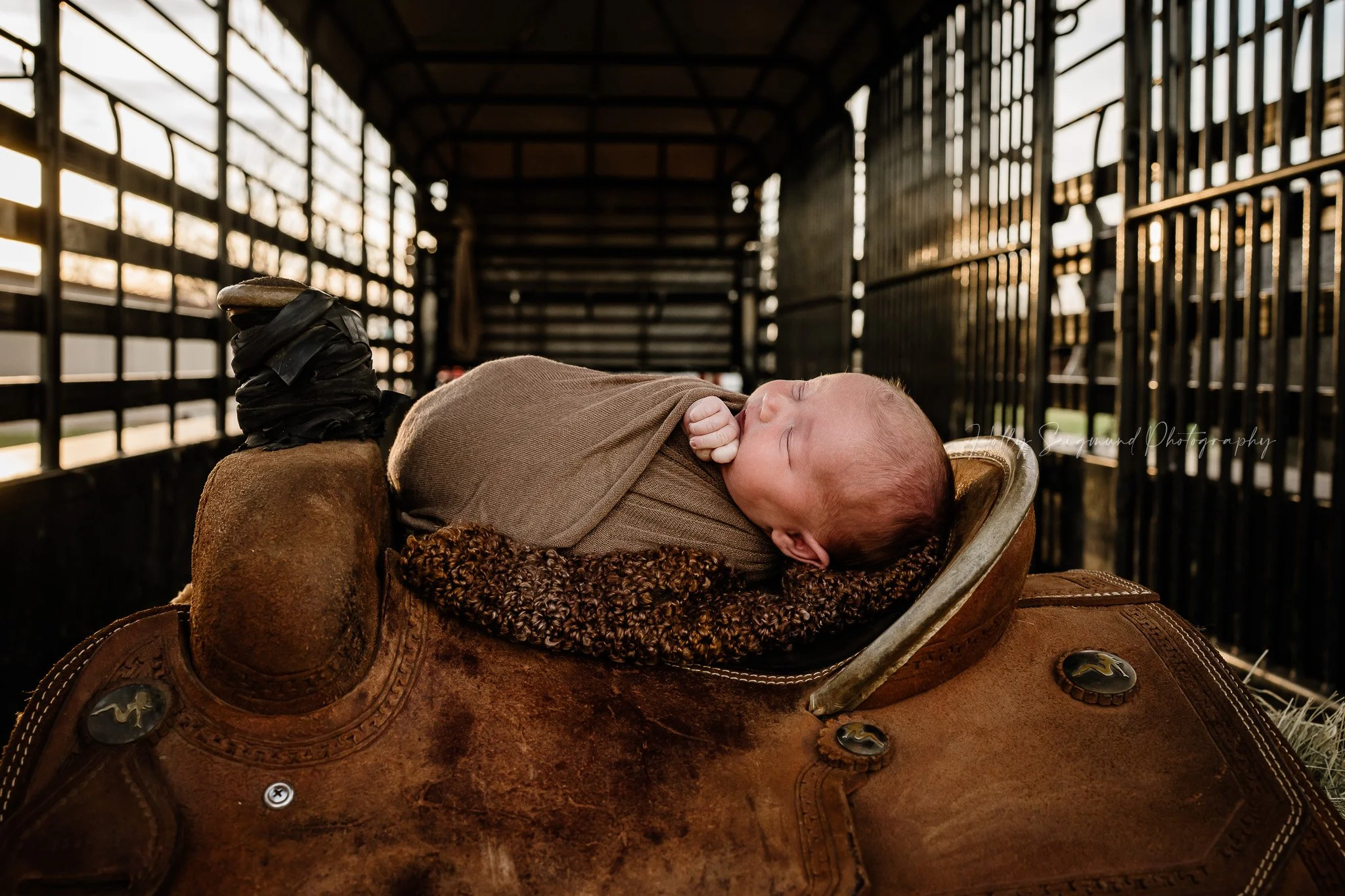 Newborn on a horse saddle in a cattle trailer in Lee County Texas