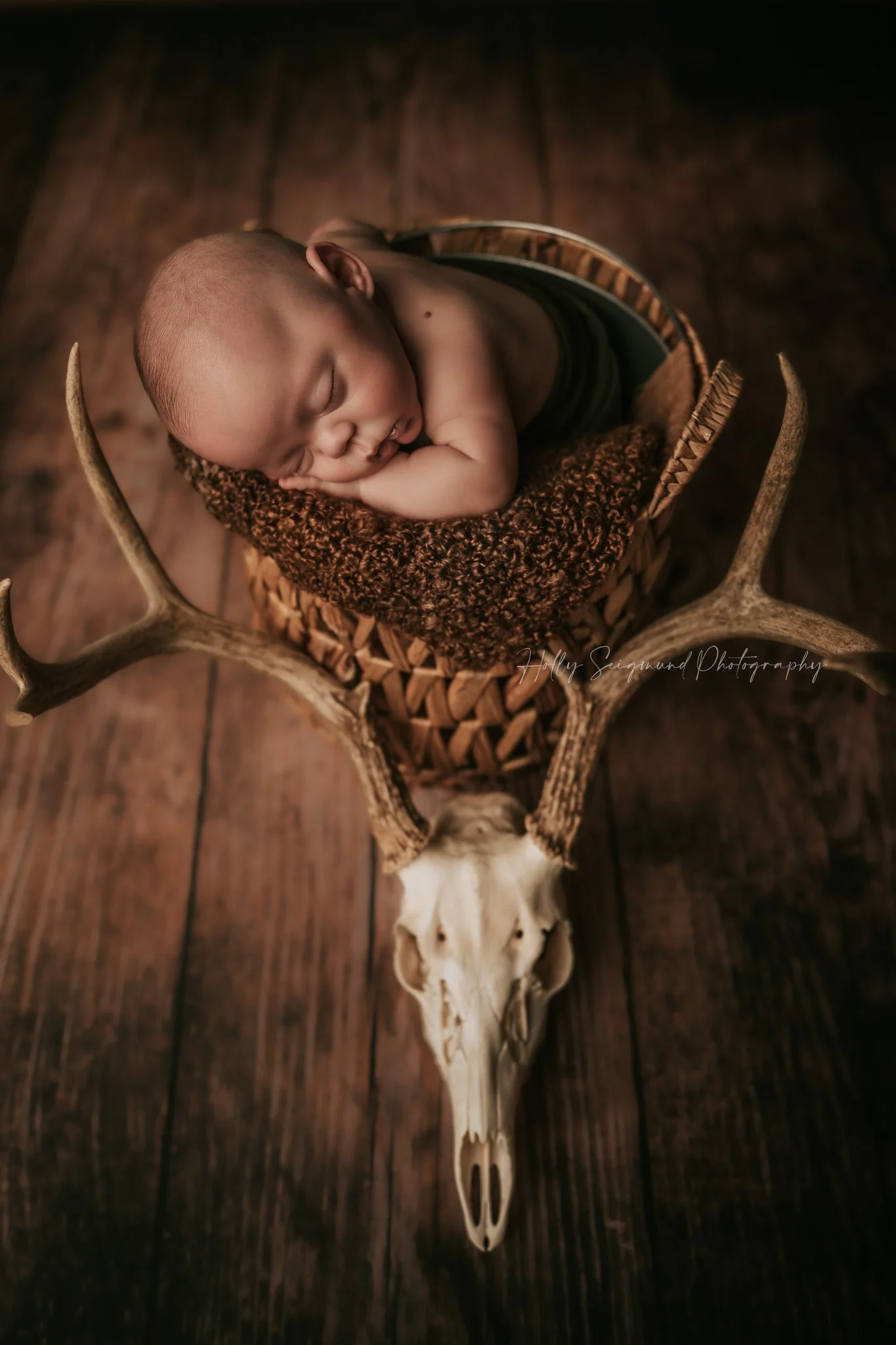78947-newborn-photography-deer-skull.jpg