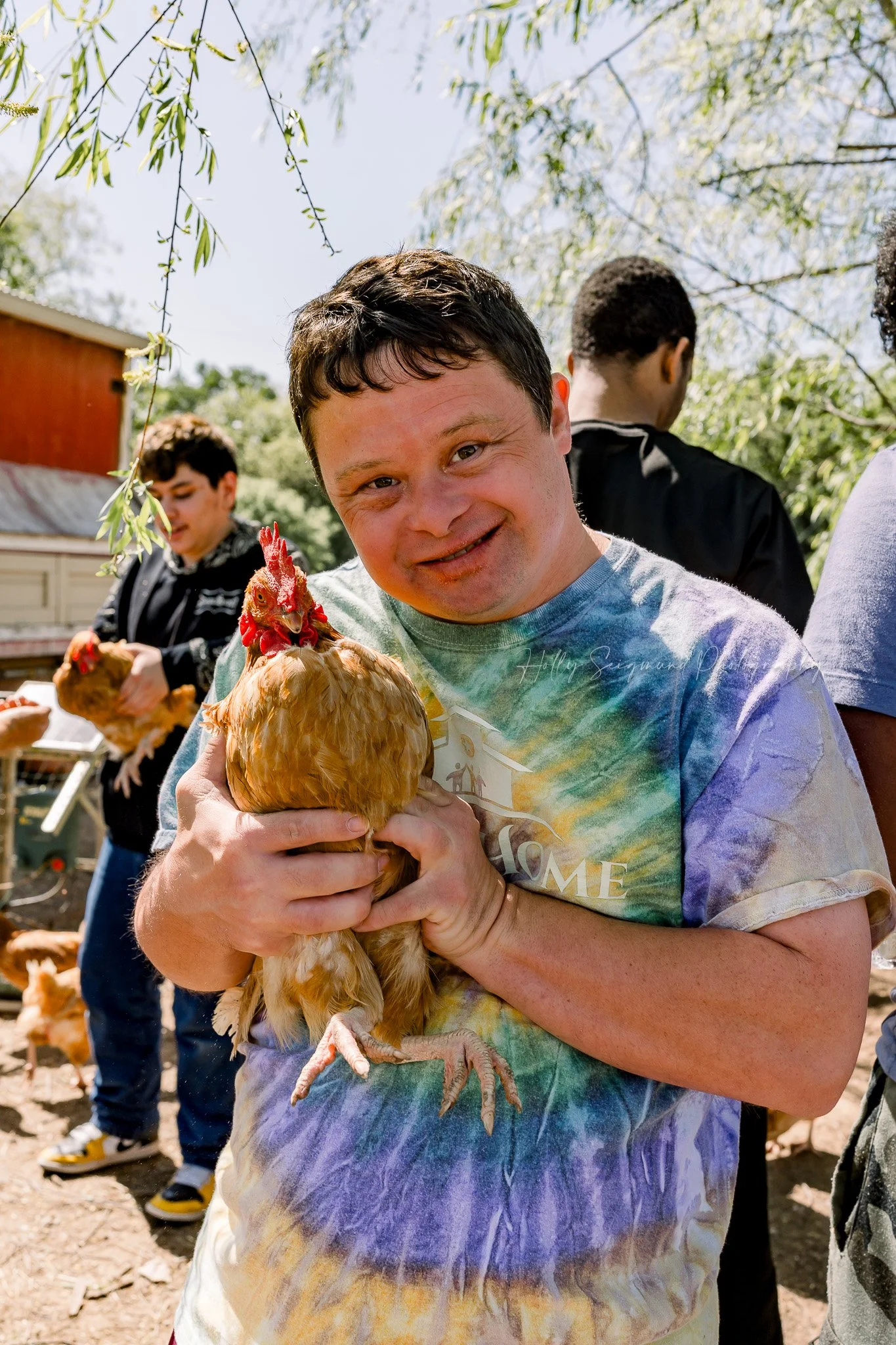 branding photos of chickens and fresh eggs at Down Home Ranch in Elgin Texas