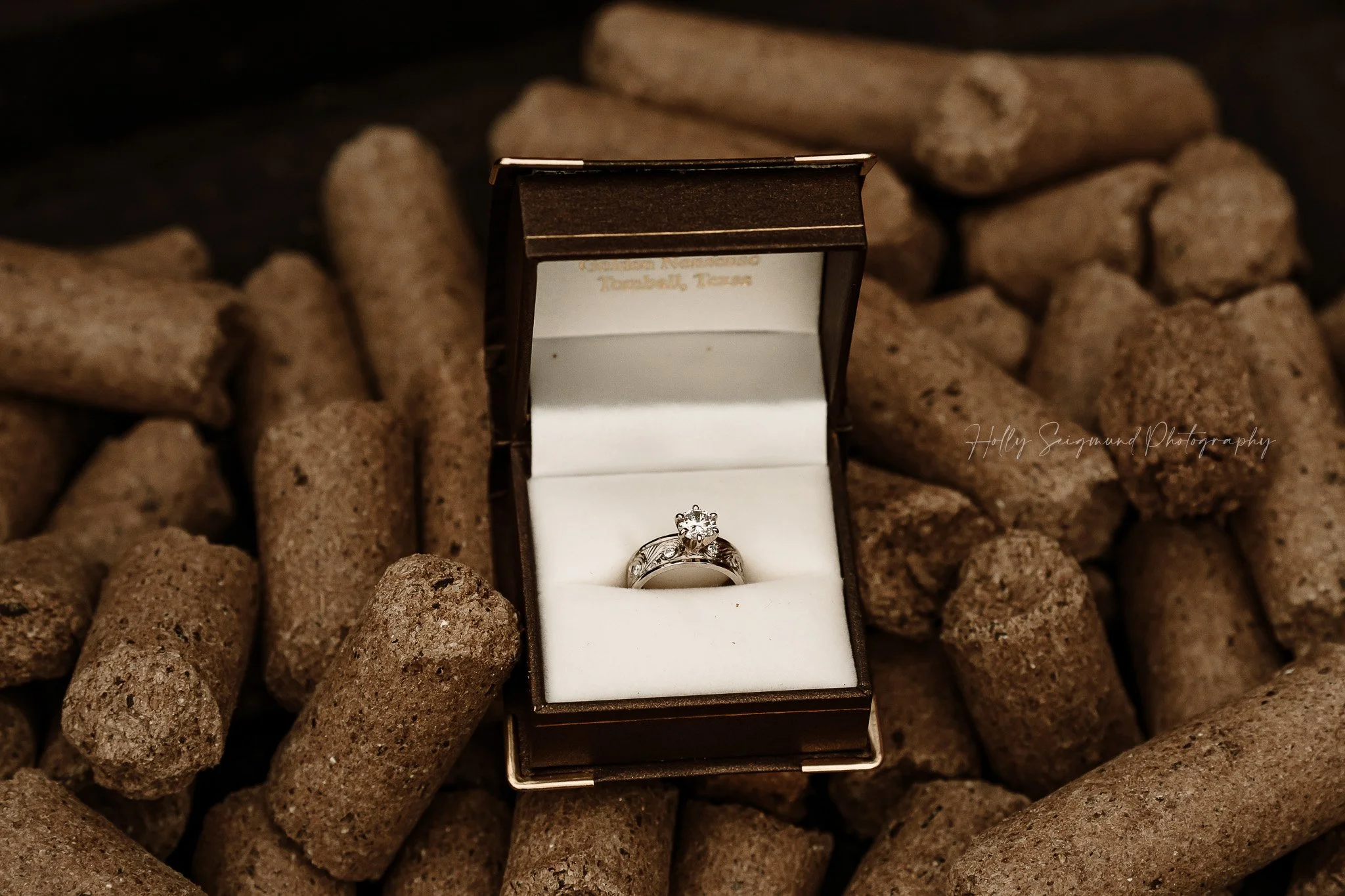 01-lee-county-texas-engagement-and-proposal-photographer.jpg