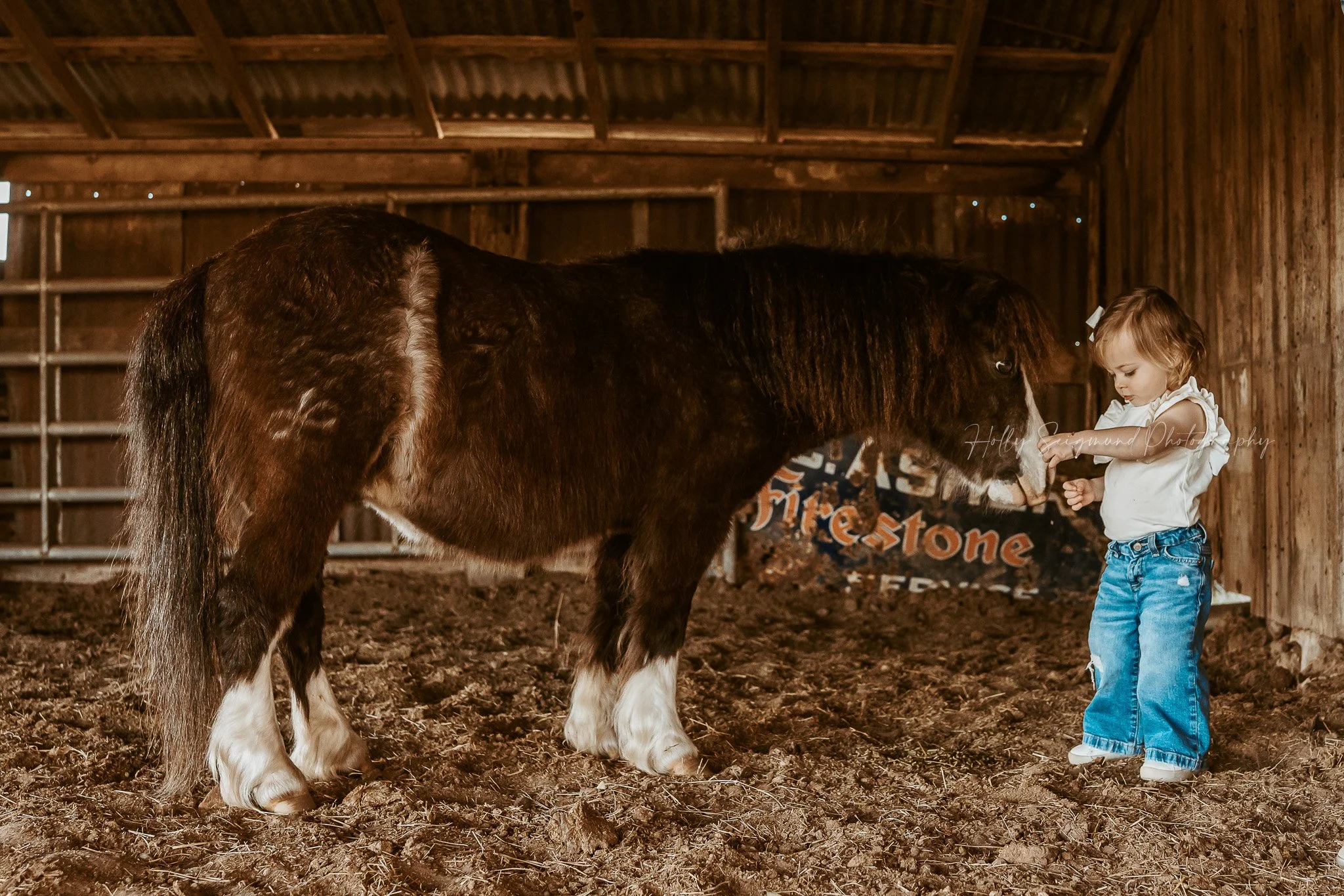 birthday girl posing with a pony during a country photoshoot in Texas