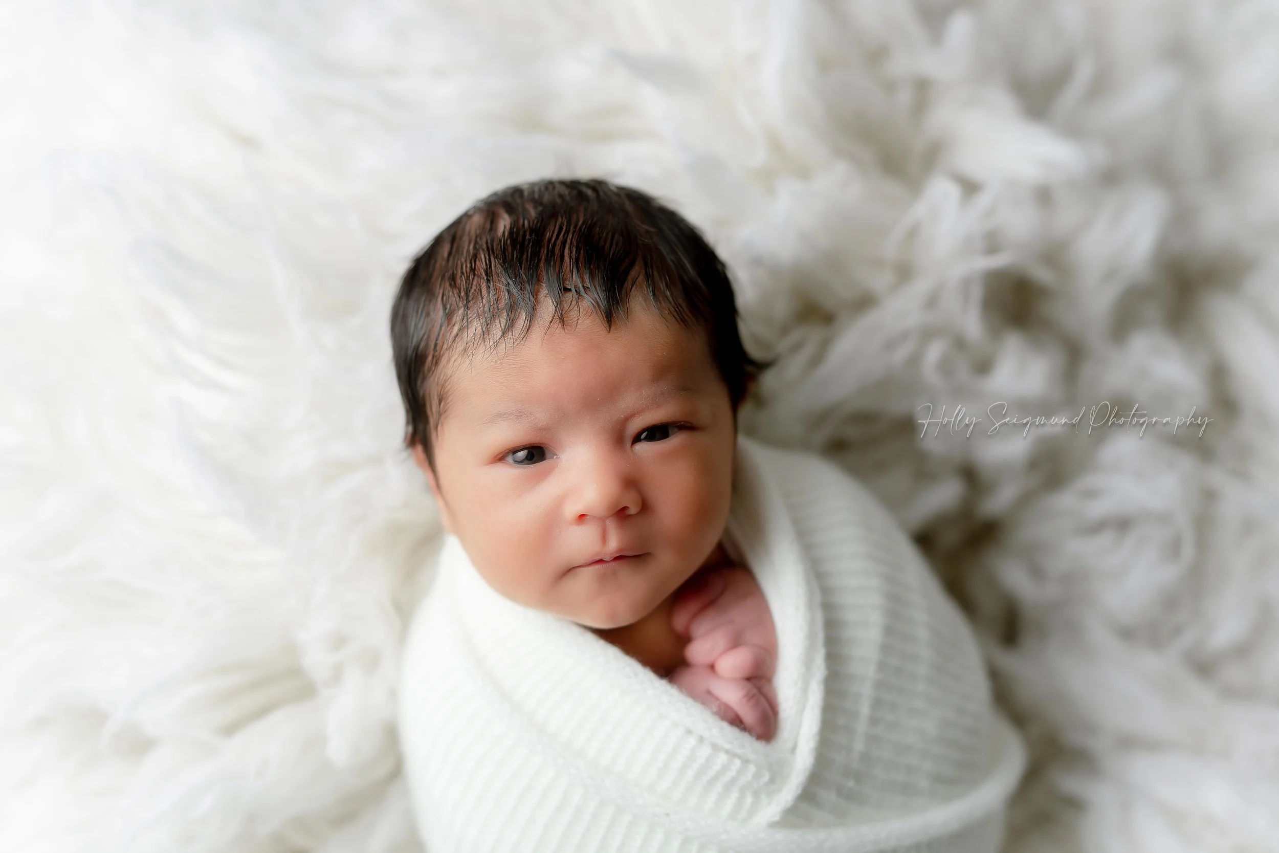 Baby boy on white backdrop, awake during newborn photography session in Lee County Texas