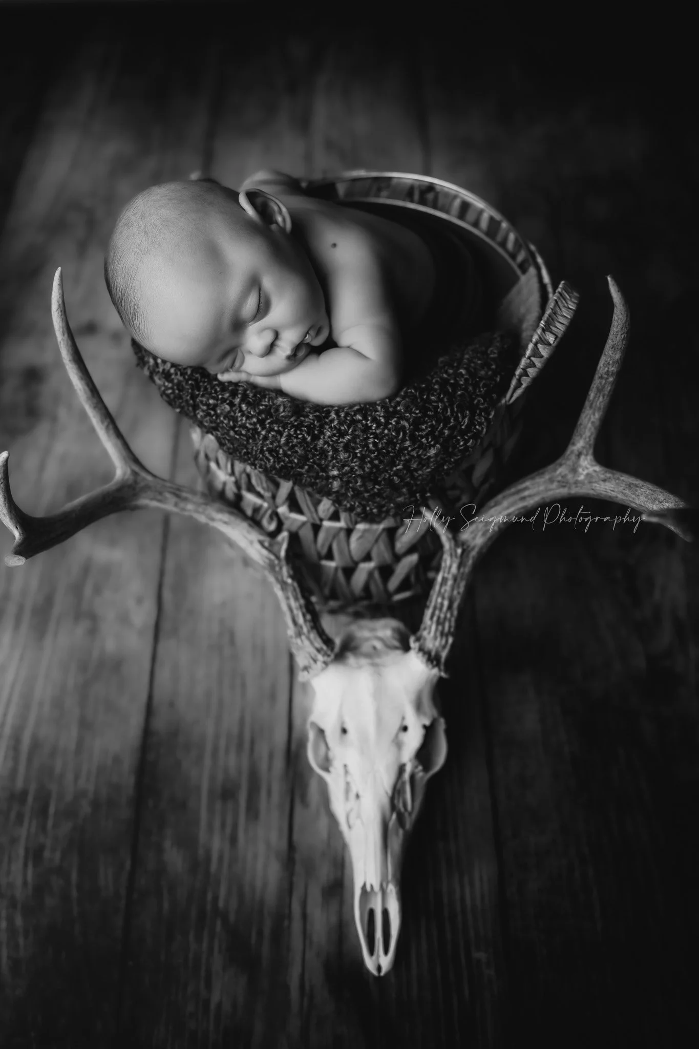 78947-deer-skull-newborn-photography.jpg