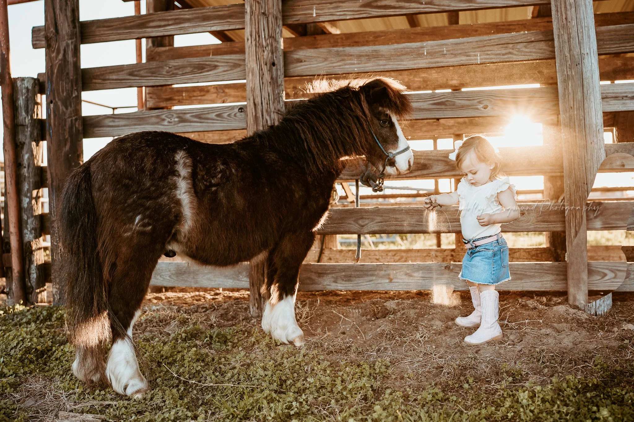 young girl celebrating her birthday with a pony in a rustic Texas countryside setting