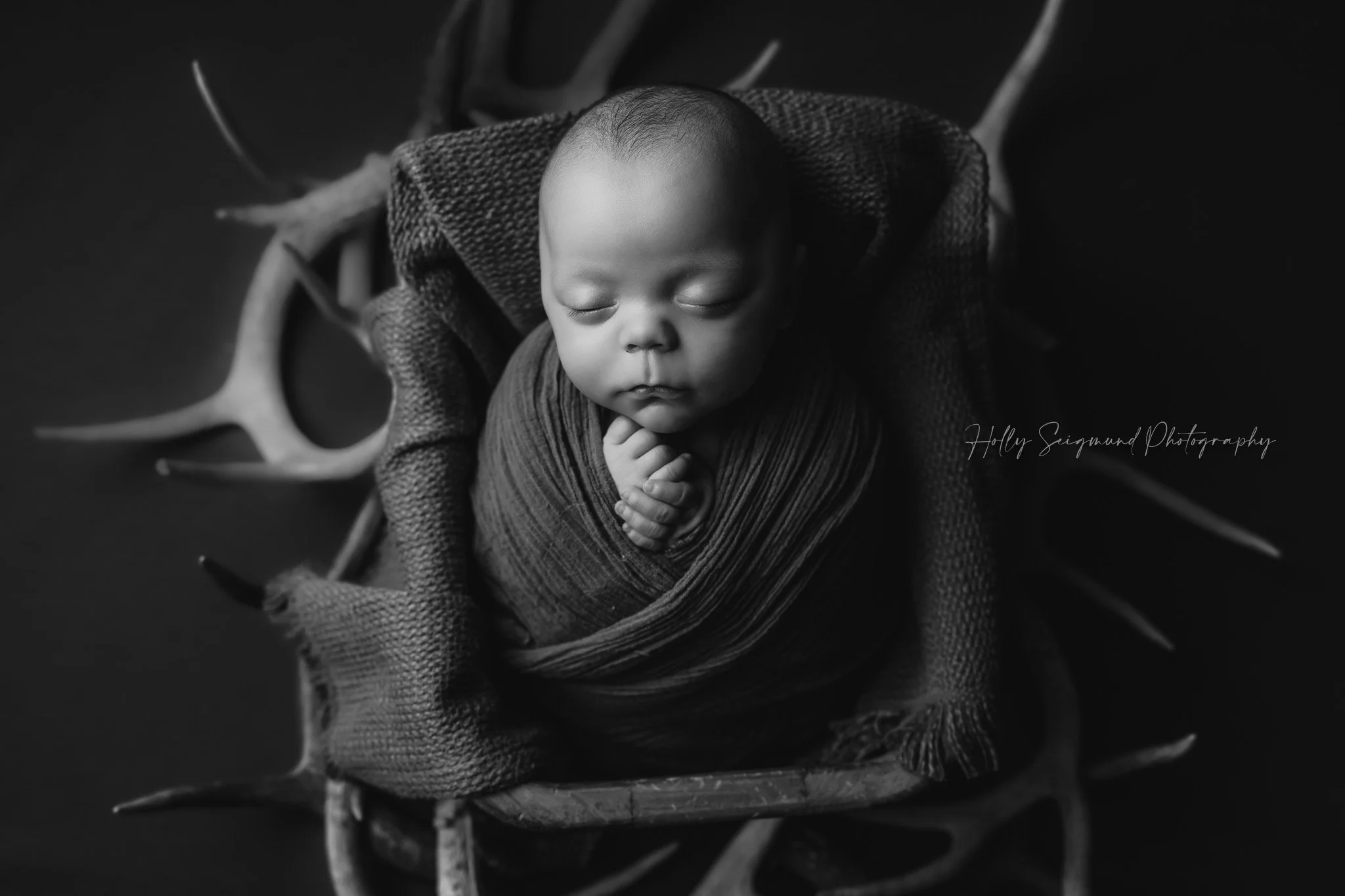 78947-deer-antler-newborn-photography.jpg