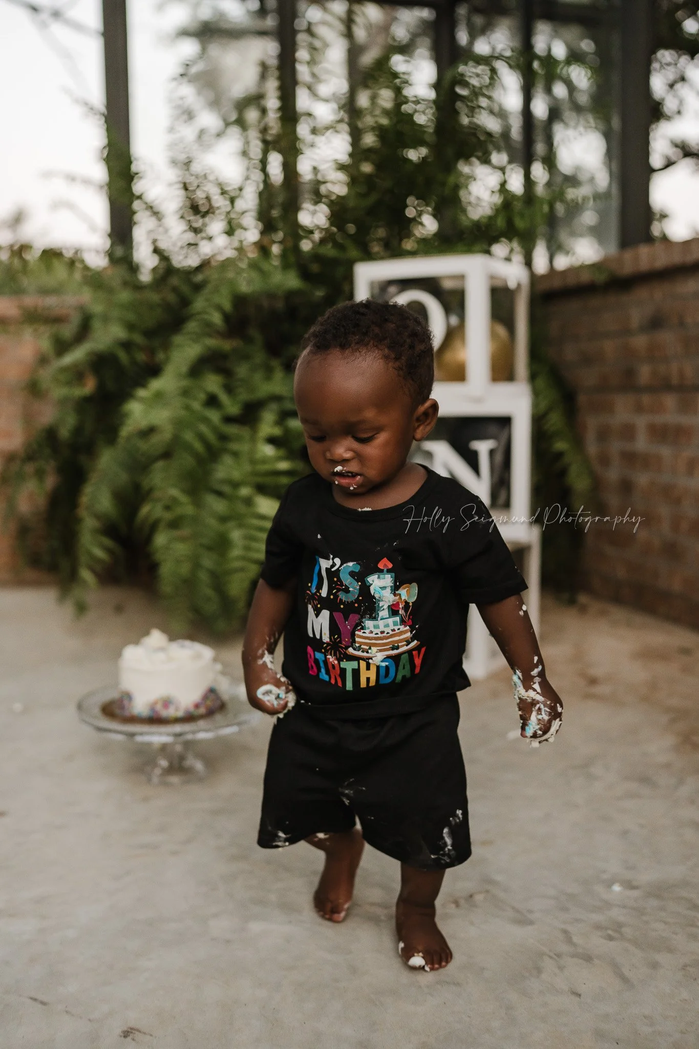 Boy with icing hands during smash cake session in a greenhouse in Lexington, Texas