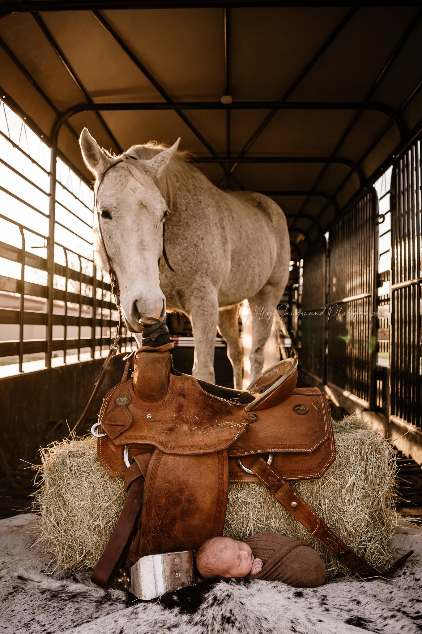 Western newborn session with a horse in a cattle trailer in Lee County, Texas