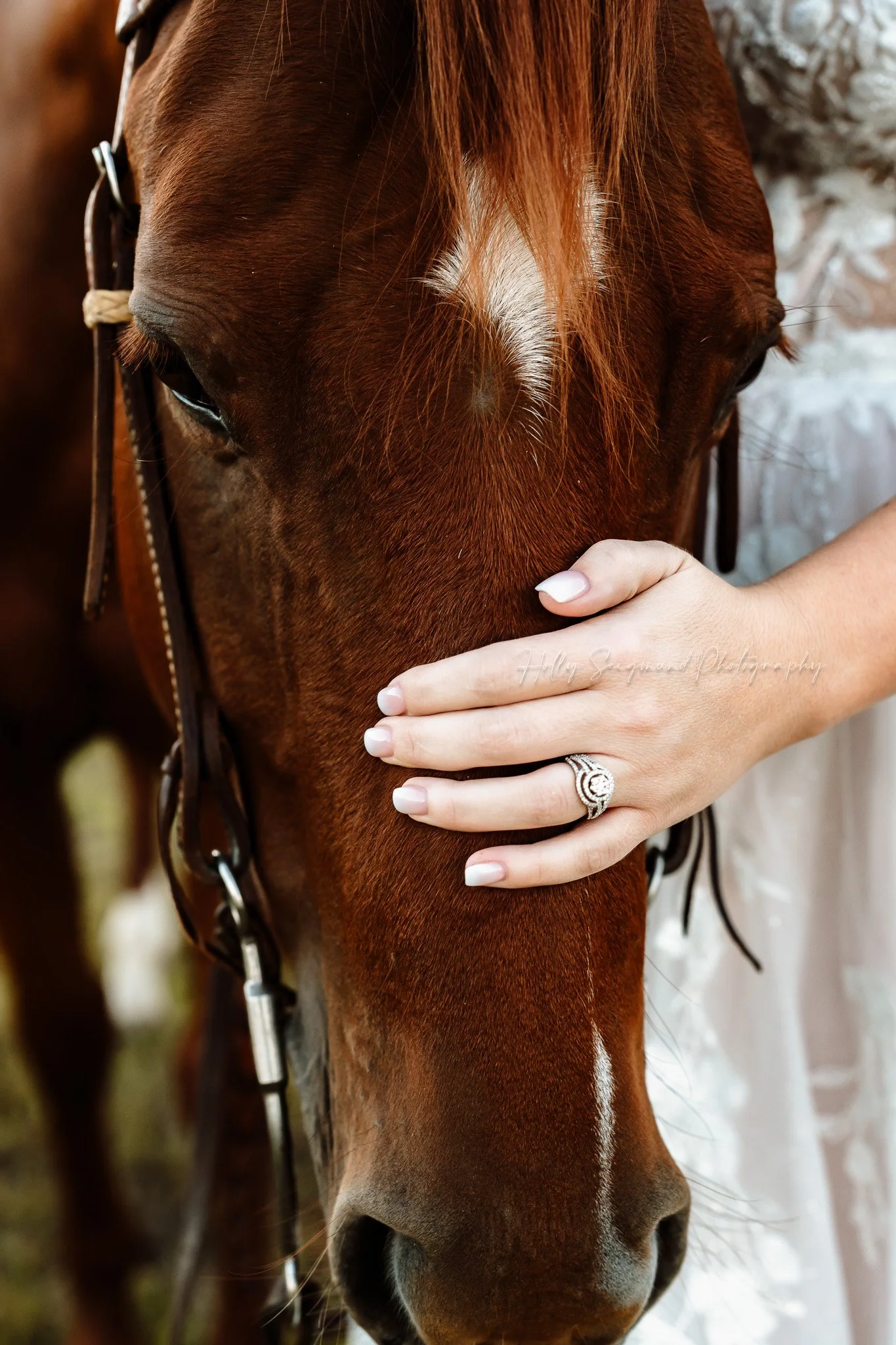 01-austin-area-bridal-photos-horses.jpg