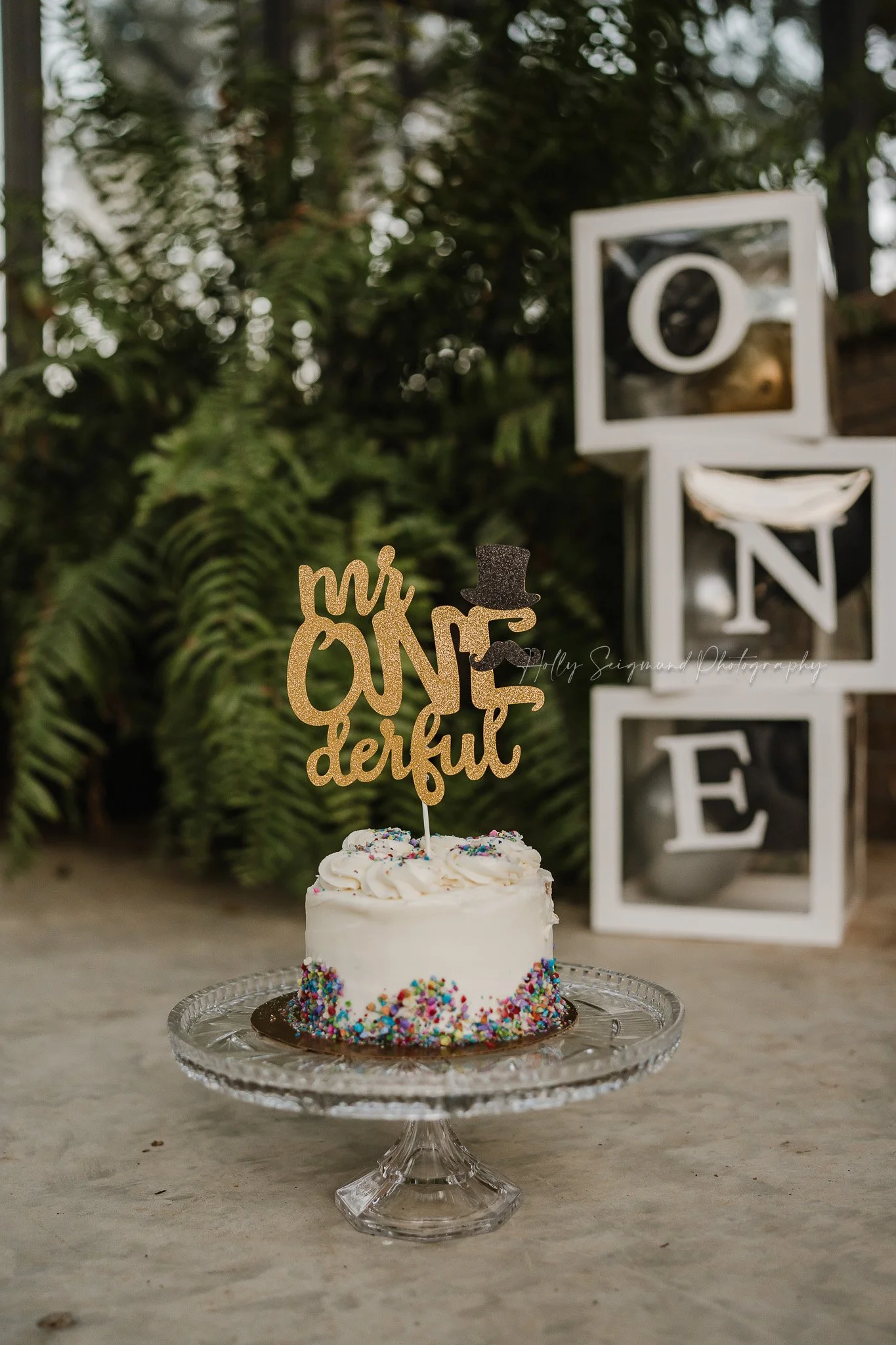 First birthday cake with Mr. One-derful cake topper in a greenhouse in Central Texas