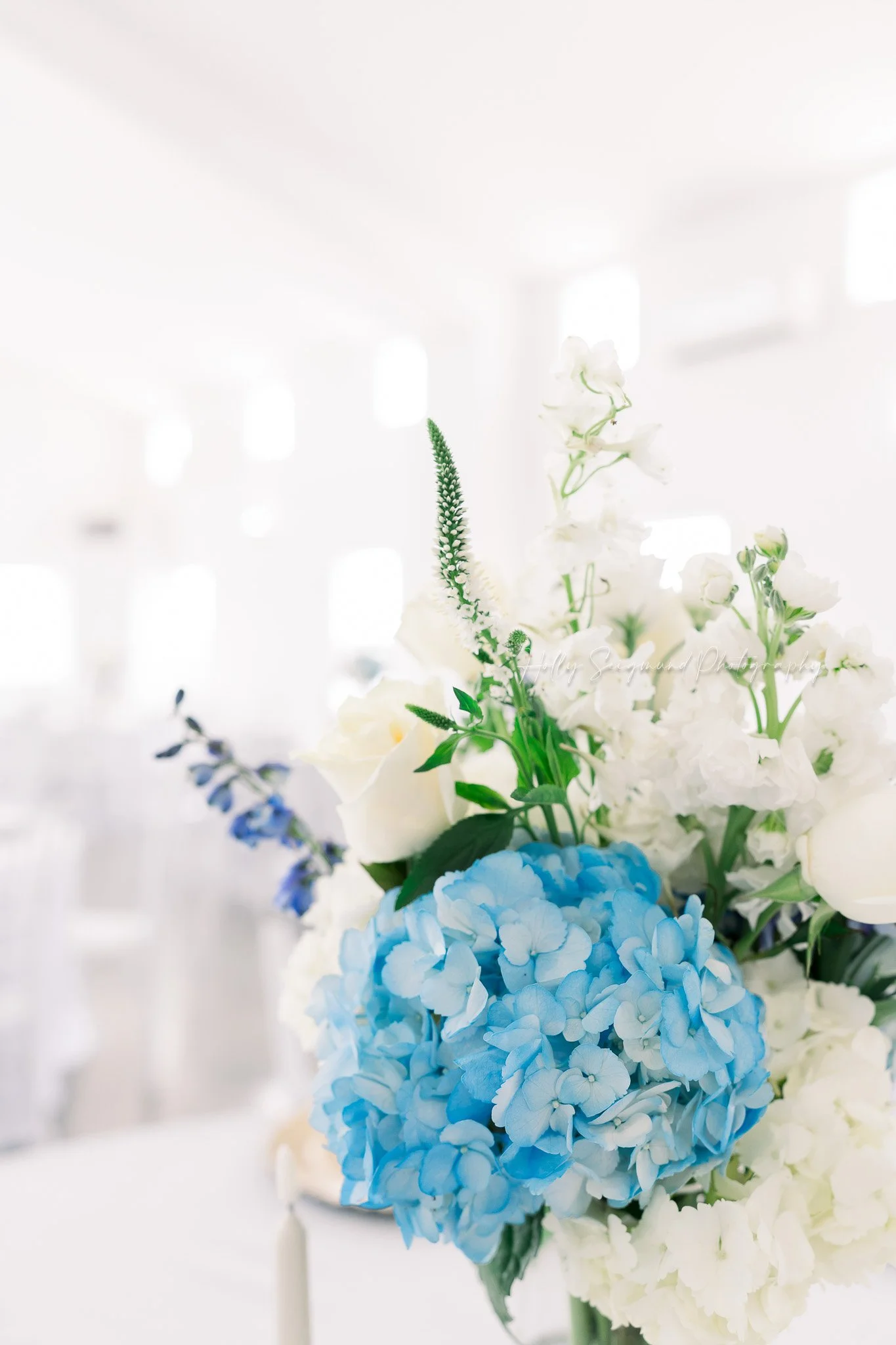 01-wedding-photos-kiesling-ranch-central-texas.jpg