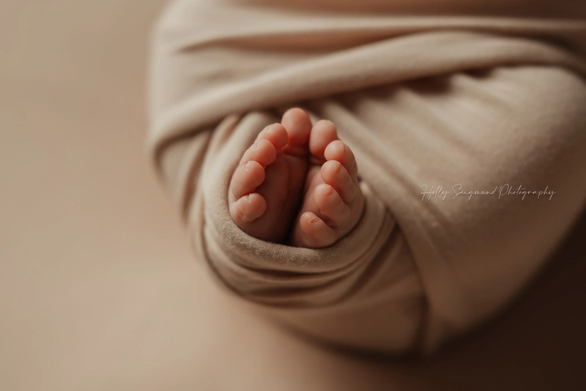 Newborn baby toes wrapped in tan and a matching backdrop in 78947
