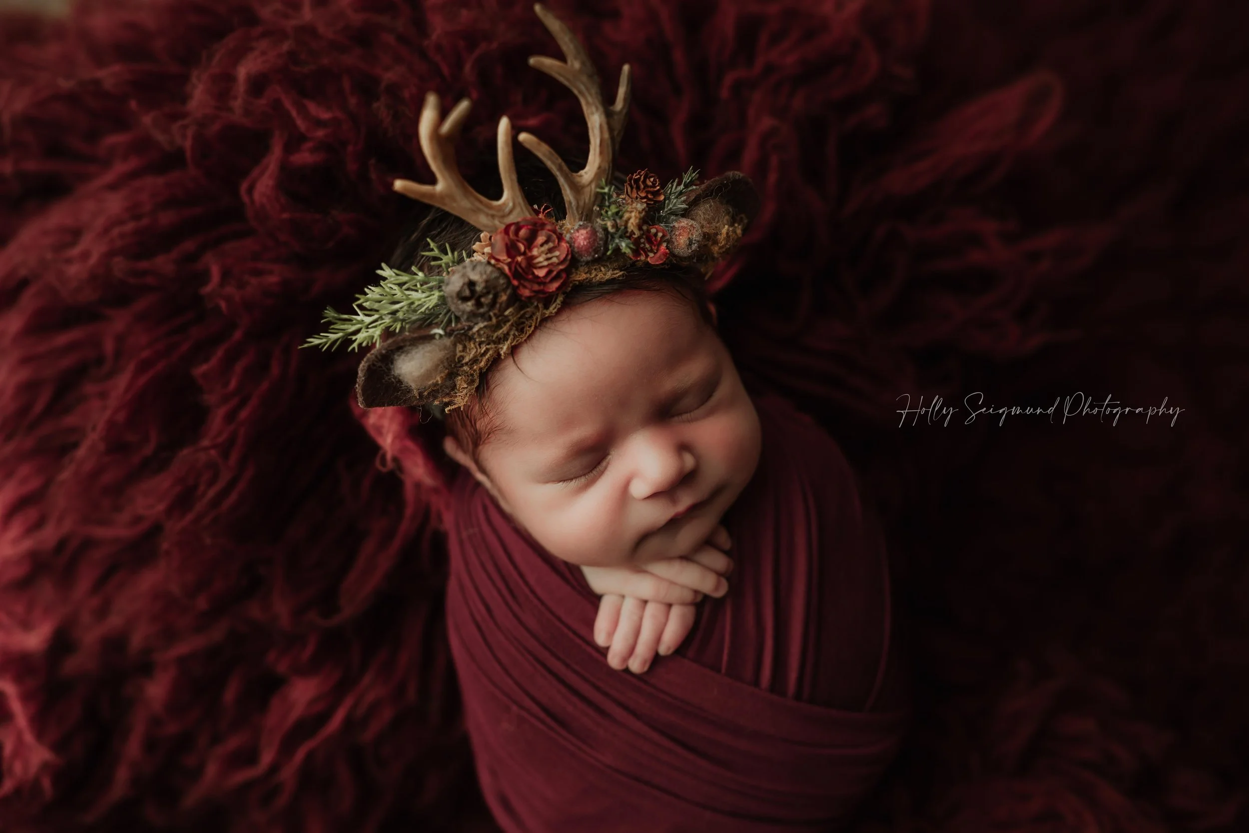 Studio newborn photography session featuring a baby girl with a deer antler floral crown, wrapped in maroon on a maroon fluffy backdrop