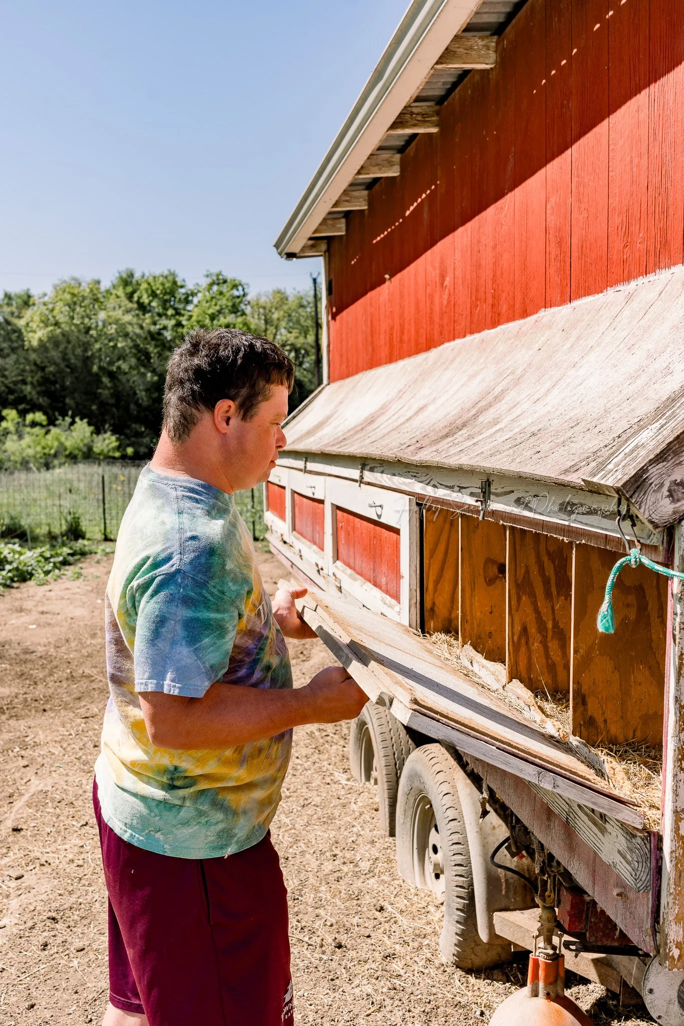 egg collection with chickens during a branding session at a ranch in Elgin Texas