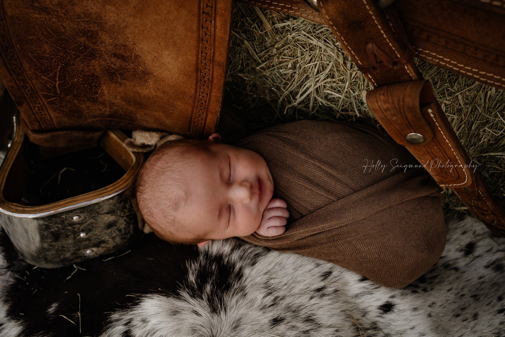 Newborn on a cowhide rug with horse saddle 78947